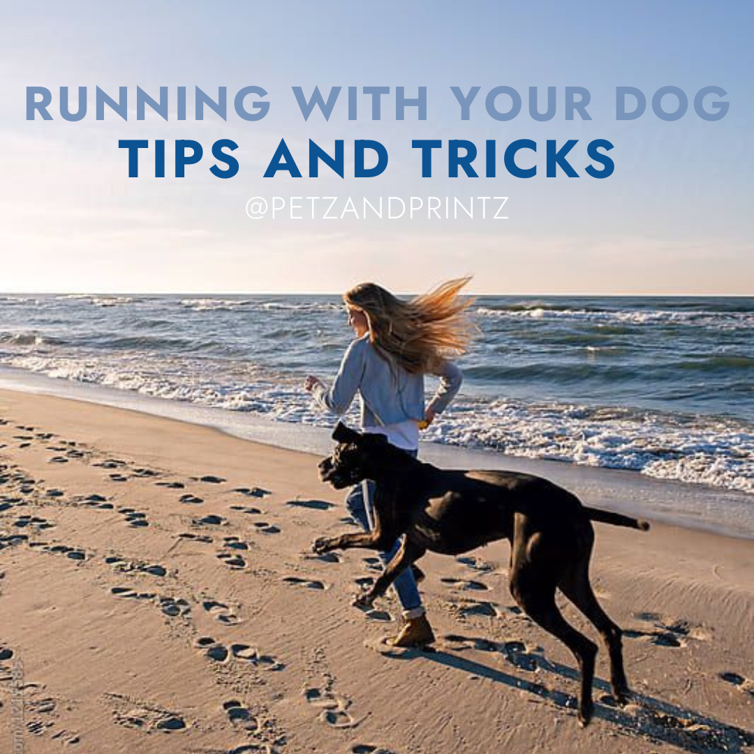 Running with your dog.png