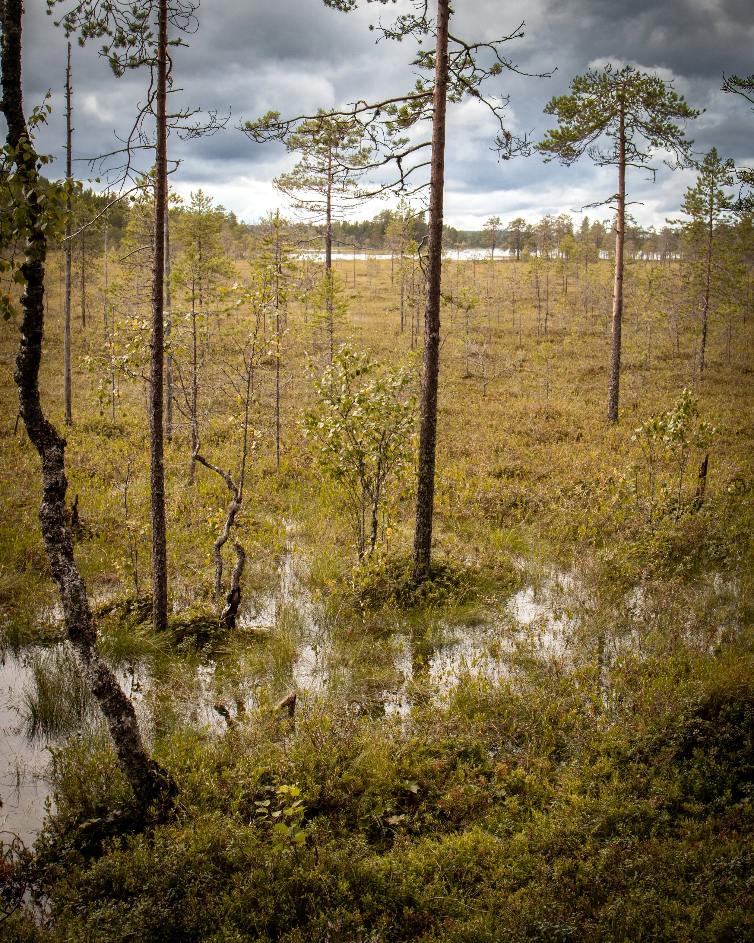 IMG_7884.JPG