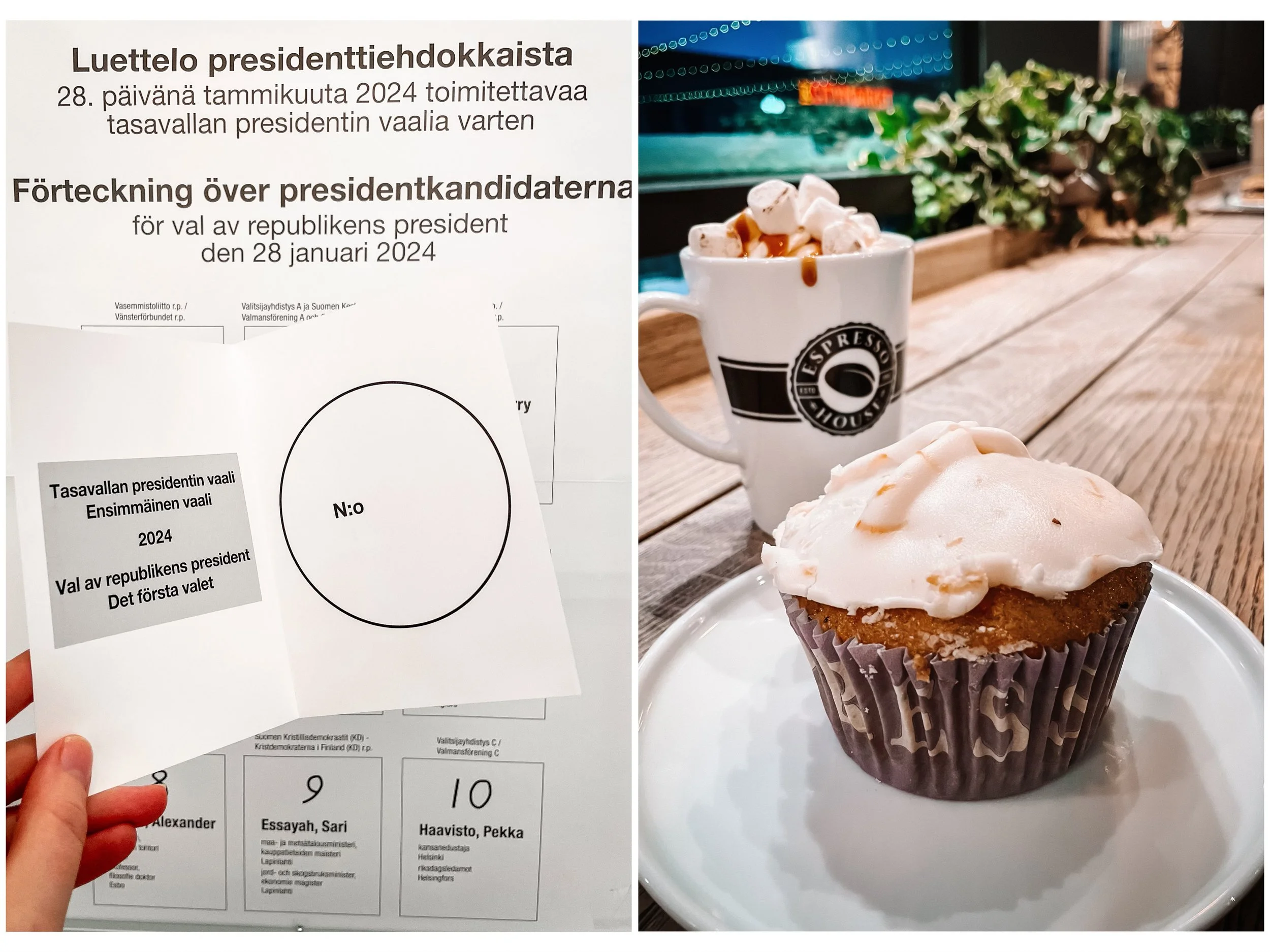 Willavaalit.JPG