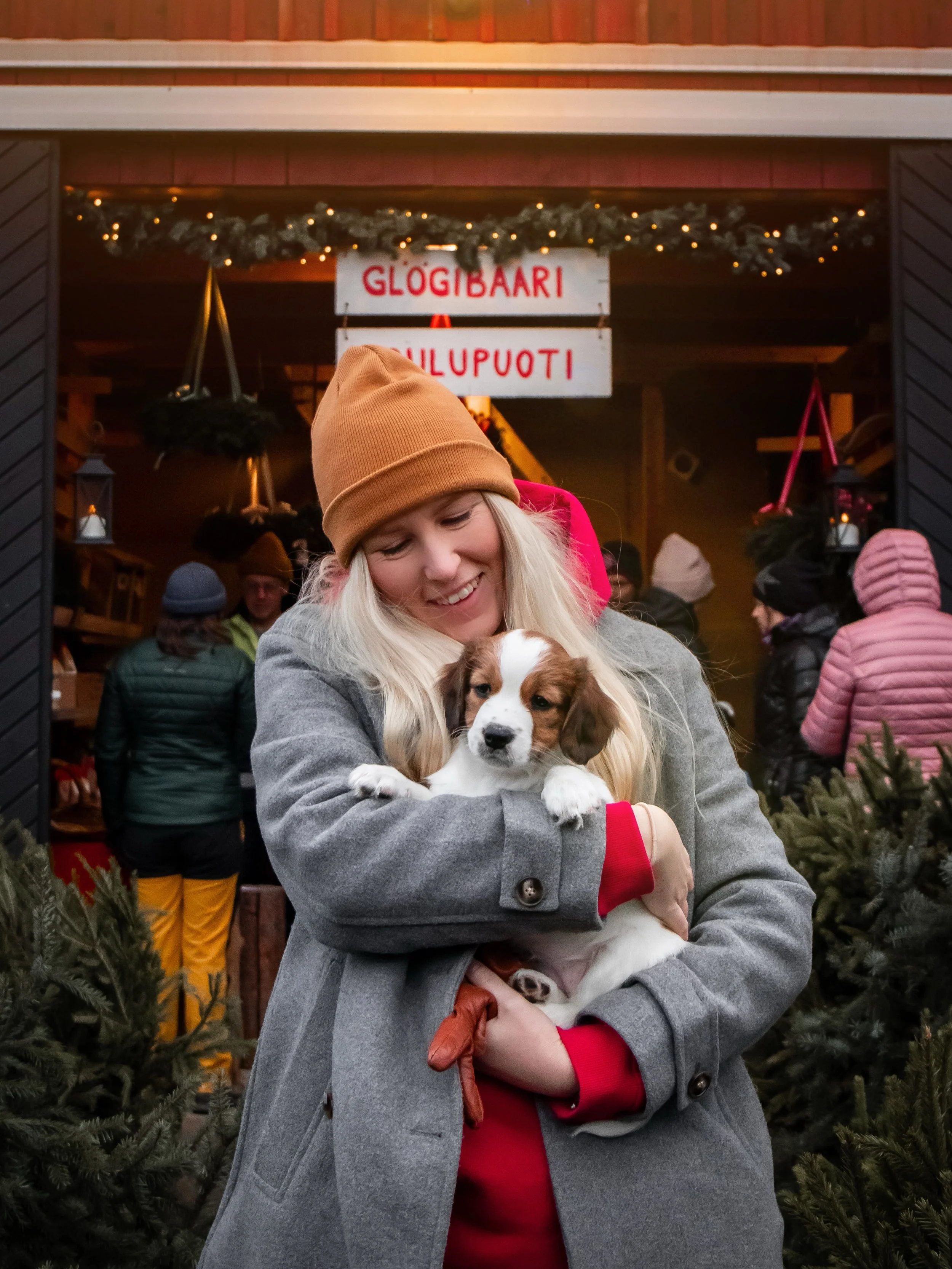 Marras- ja joulukuu 2025 / November-December 2025