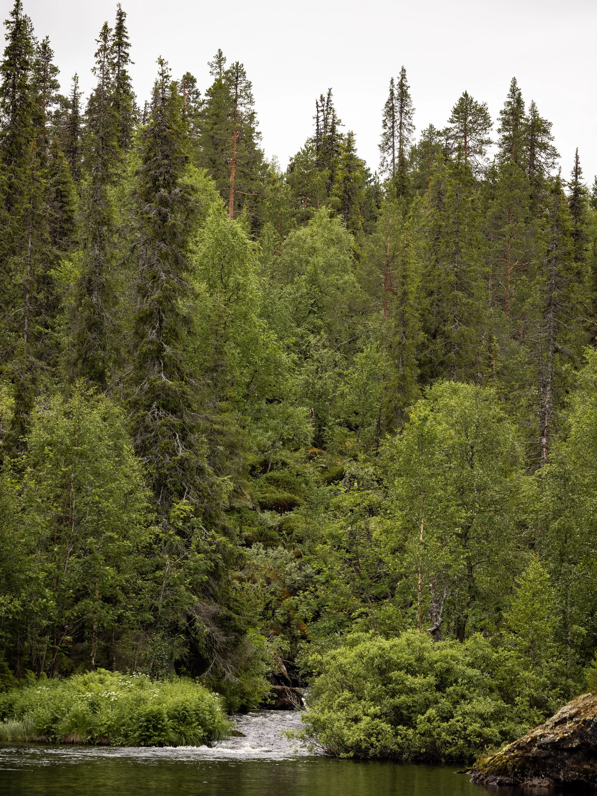 SämrekvalAL7A6148.JPG