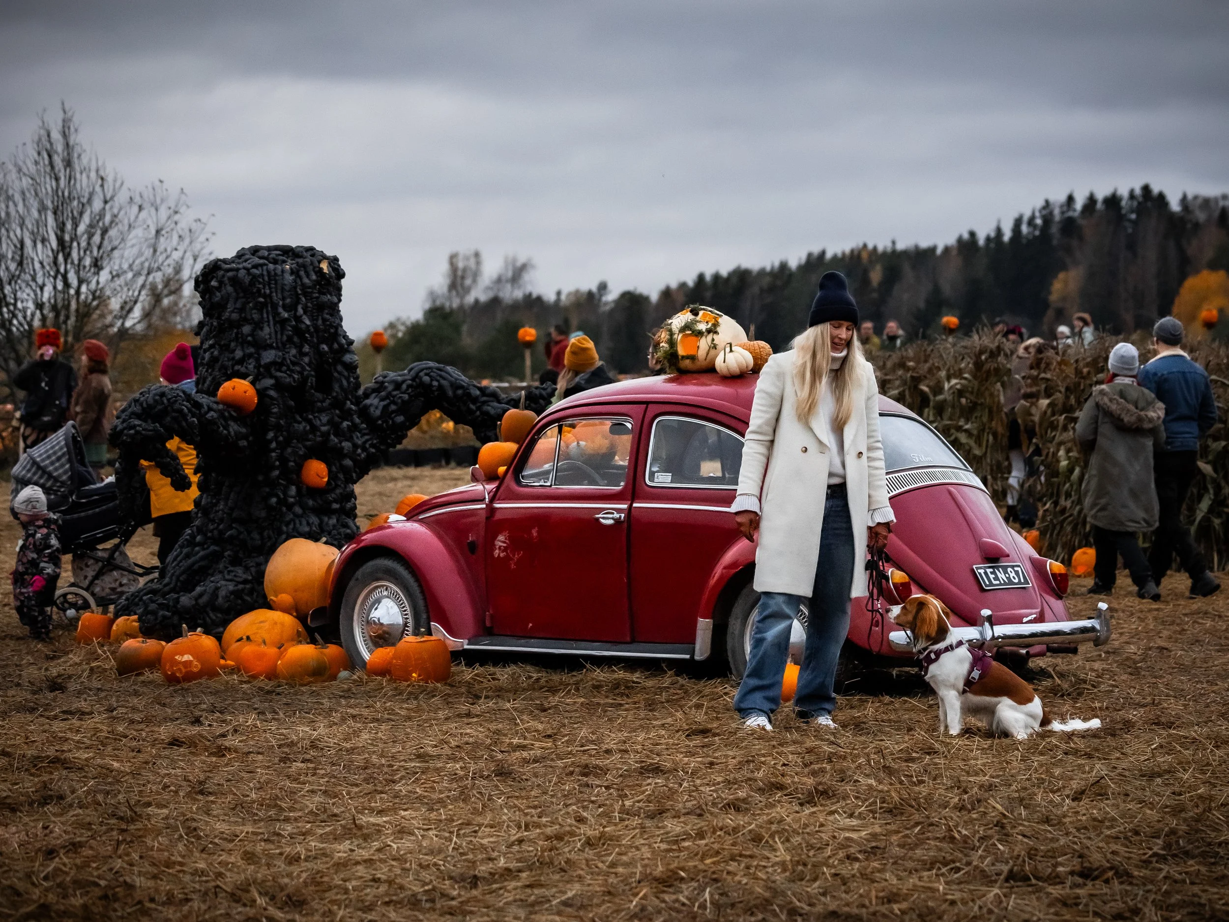 Salon kurpitsaviikot 2026 / Pumpkin weeks in Salo 2026