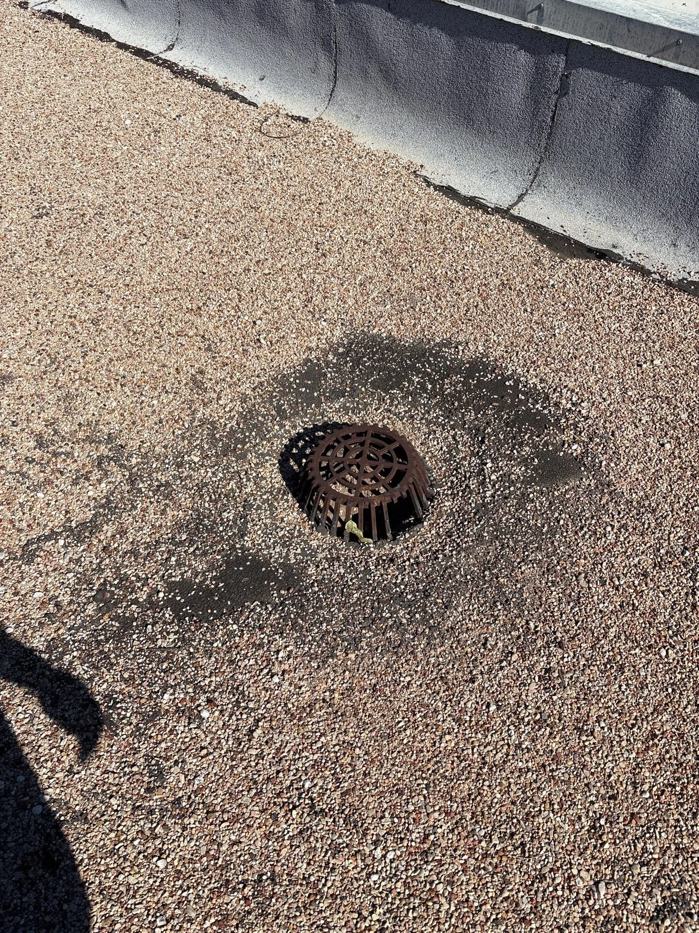 FBC Winters Drain.jpg