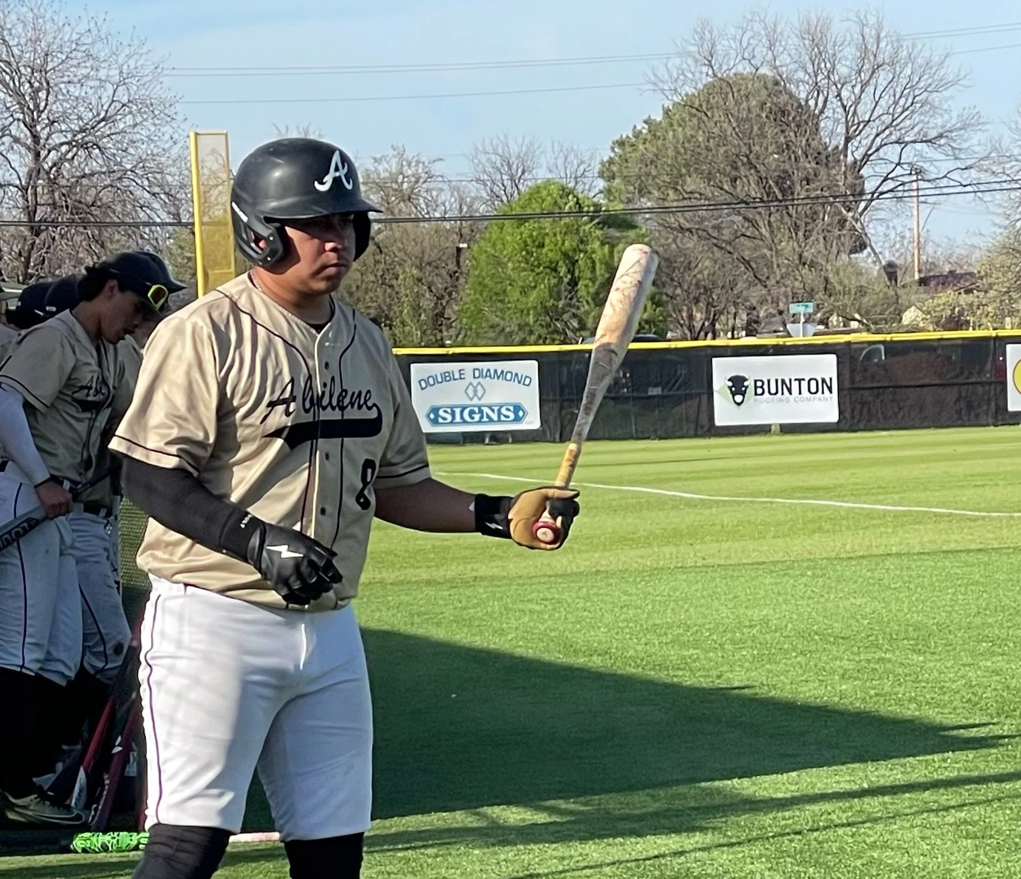 AHS Baseball.JPG