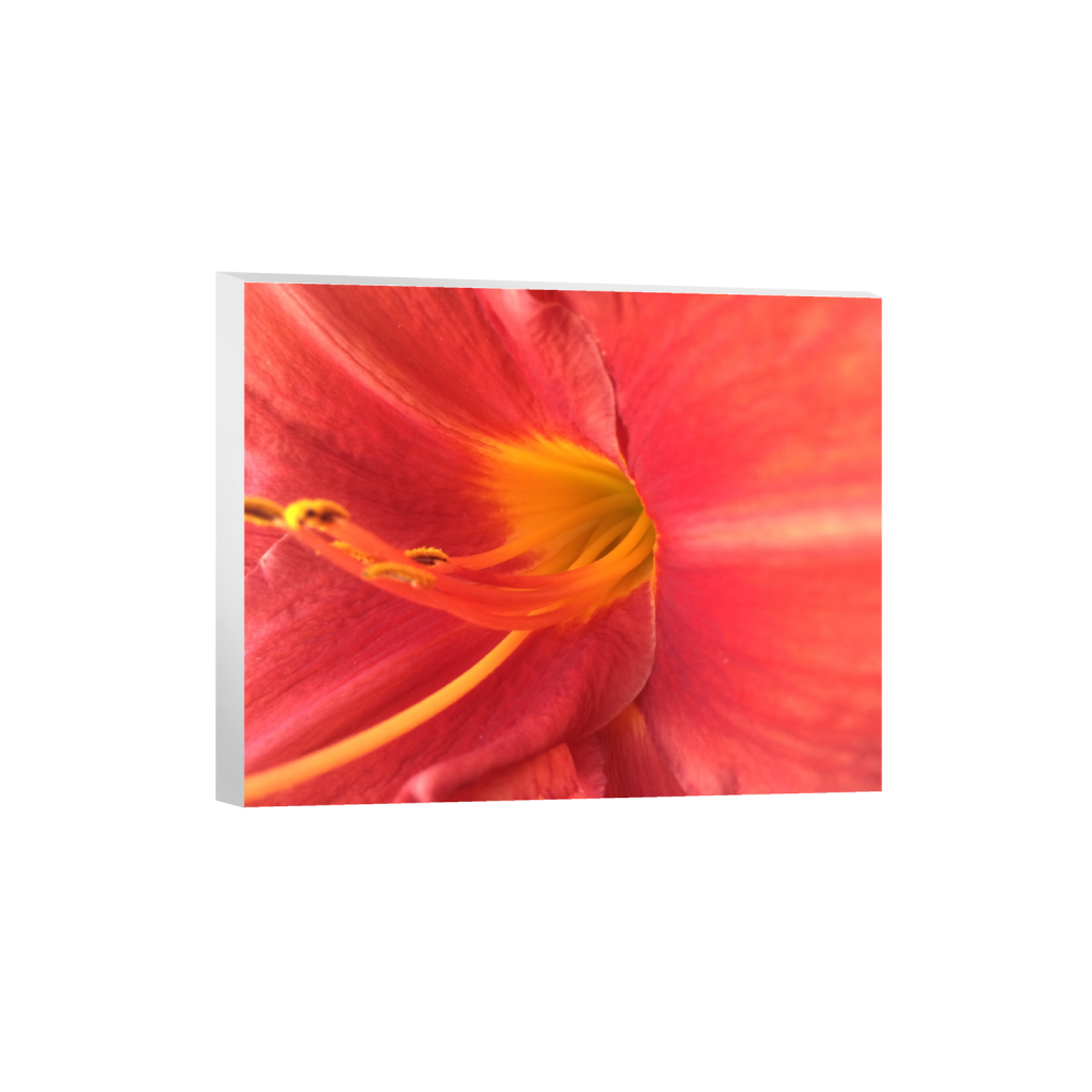 canvas_rectangle4_5_102_0_3060_2448_0_false_ffffff_0_0.png