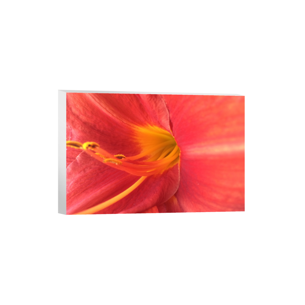 canvas_rectangle2_3_0_136_3264_2176_0_false_ffffff_0_0.png