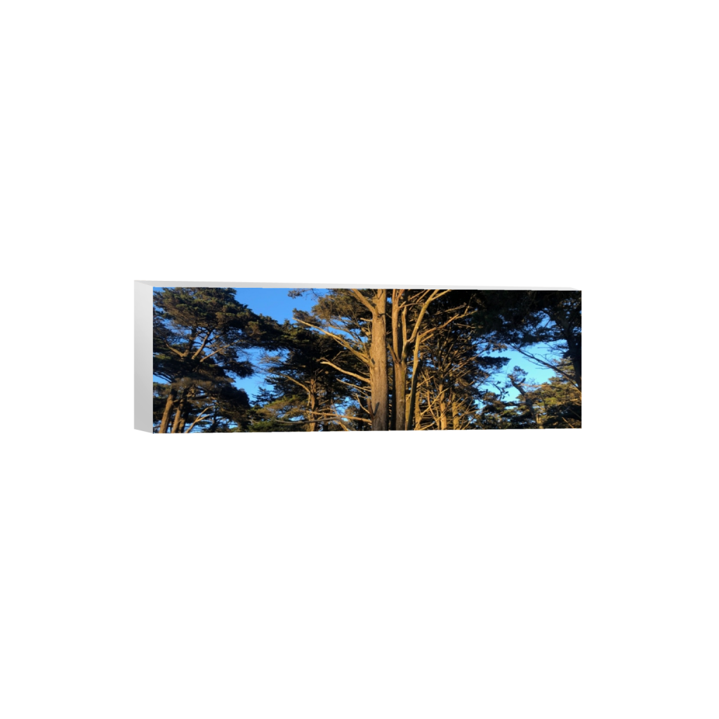 canvas_rectangle1_3_0_840_4032_1344_0_false_ffffff_0_0.png