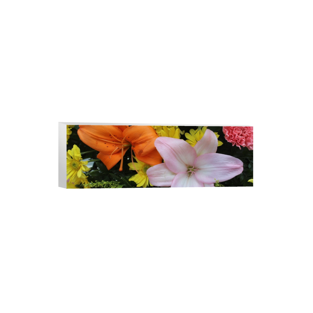 canvas_rectangle1_3_0_864_5184_1728_0_false_ffffff_0_0.png