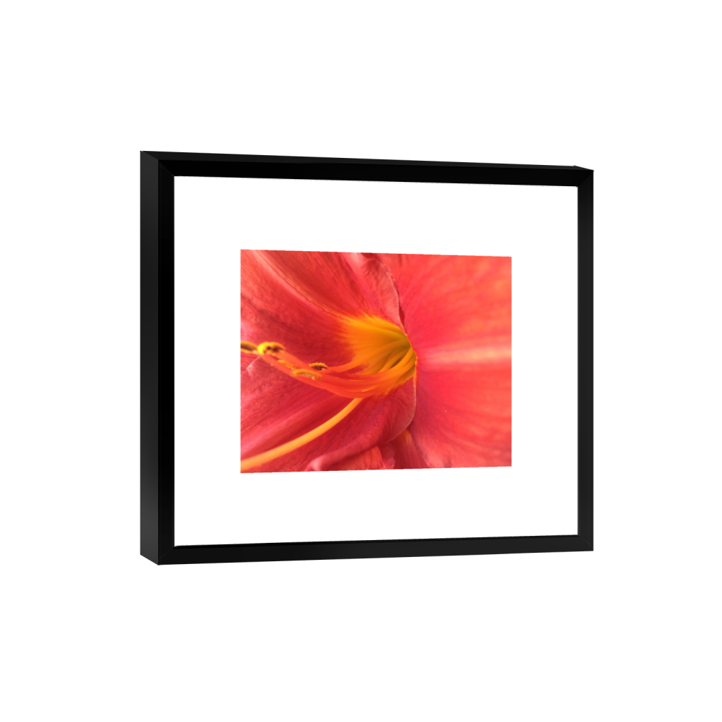 smartframe_rectangle4_5_102_0_3060_2448_0_false_ffffff_0_0.png