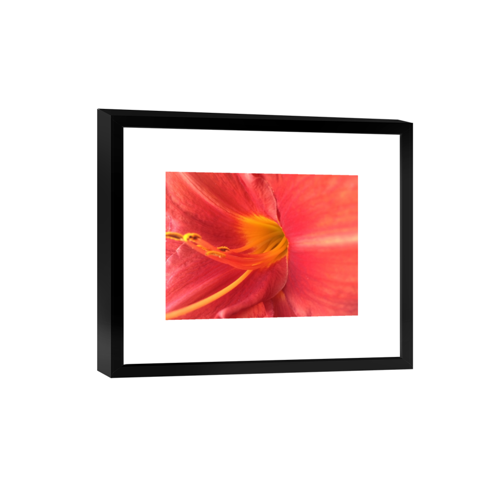 smartframe_rectangle3_4_0_0_3264_2448_0_false_ffffff_0_0.png