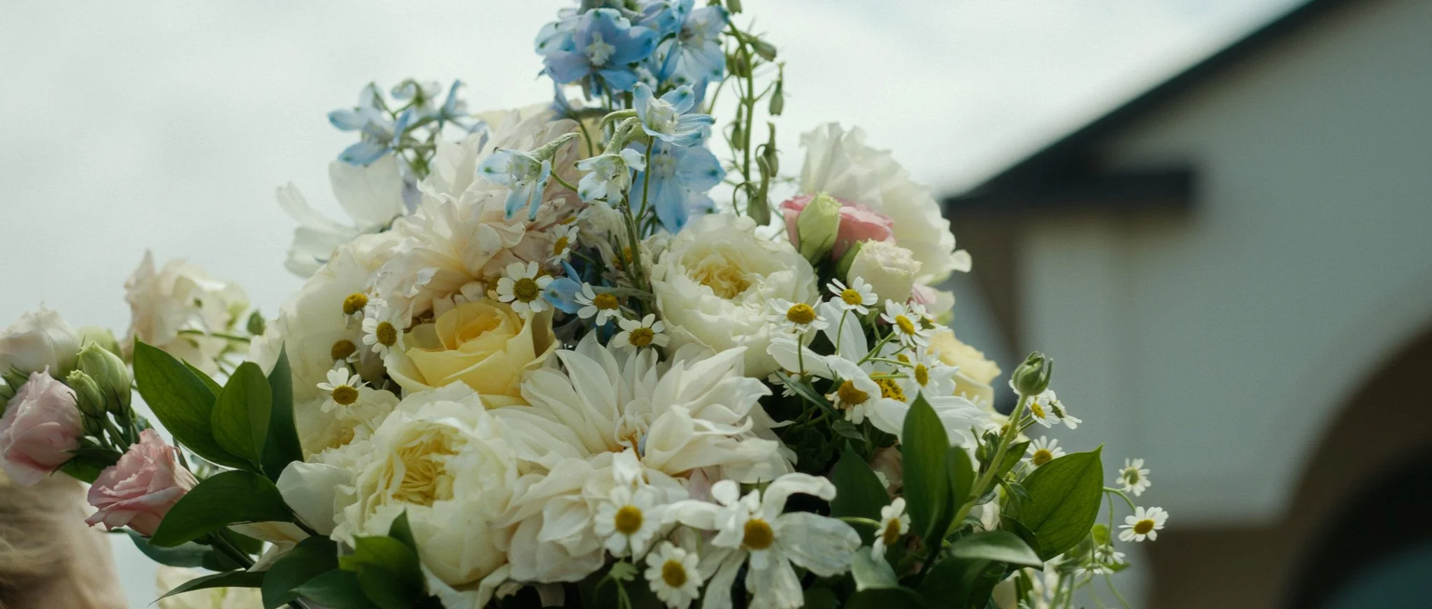 rachel_grant_wedding_film_wexford_emerald_greens_2.jpg