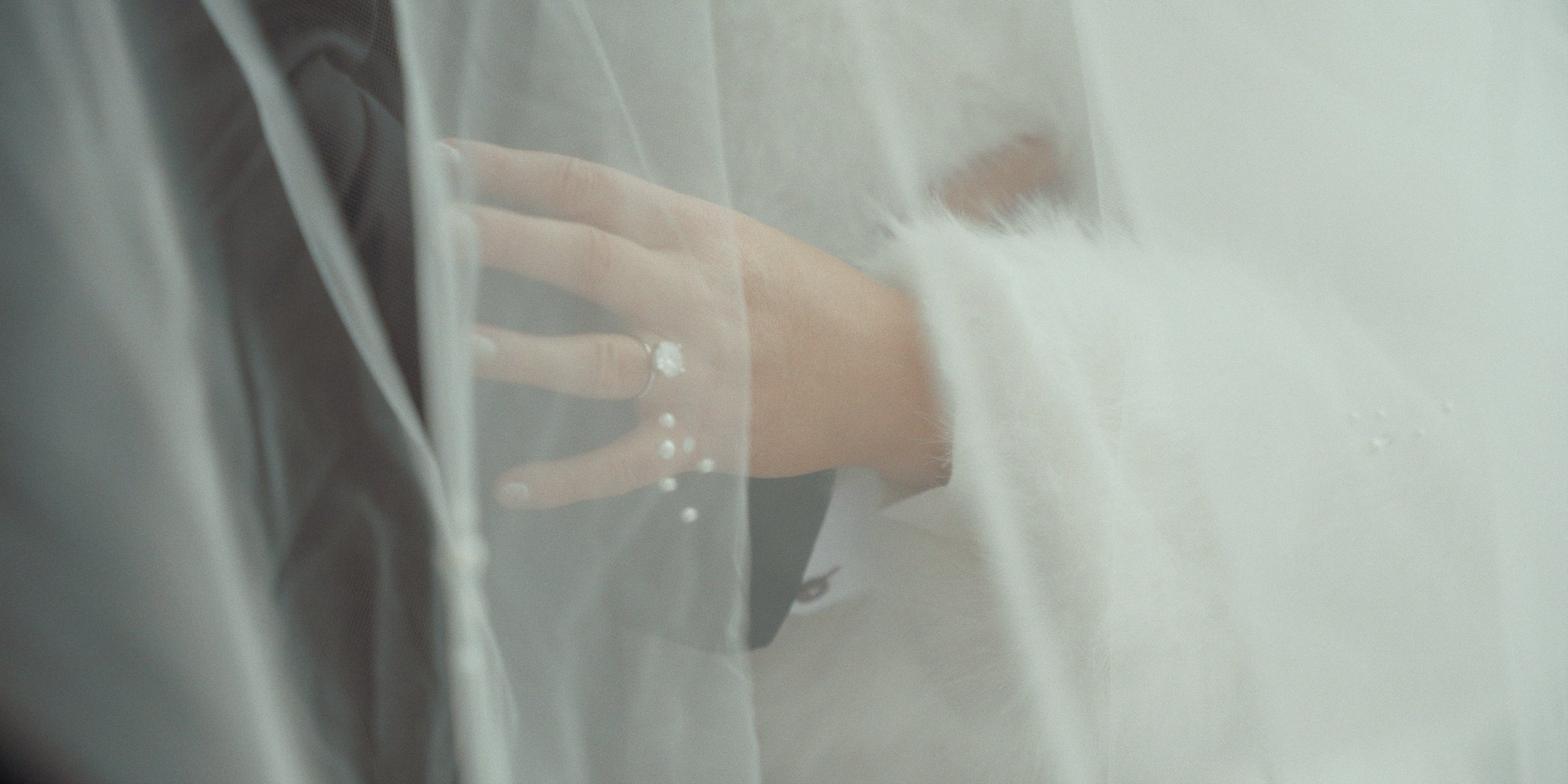 Emily & Ian .00_04_33_20.Still019.jpg