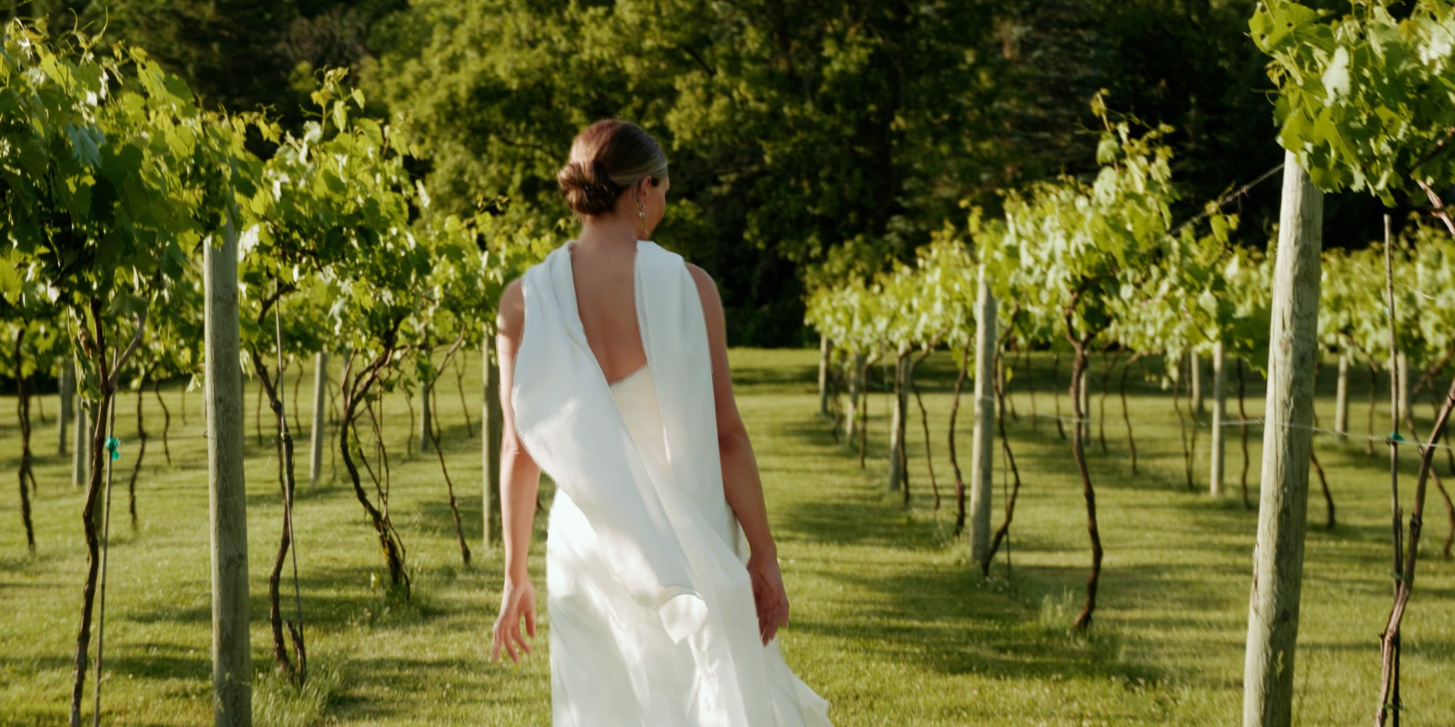 AZURE-WILLY-WEDDING-FILM-RIVER-FALLS-WISCONSIN-FORESTVILLE-VINES-01.jpg