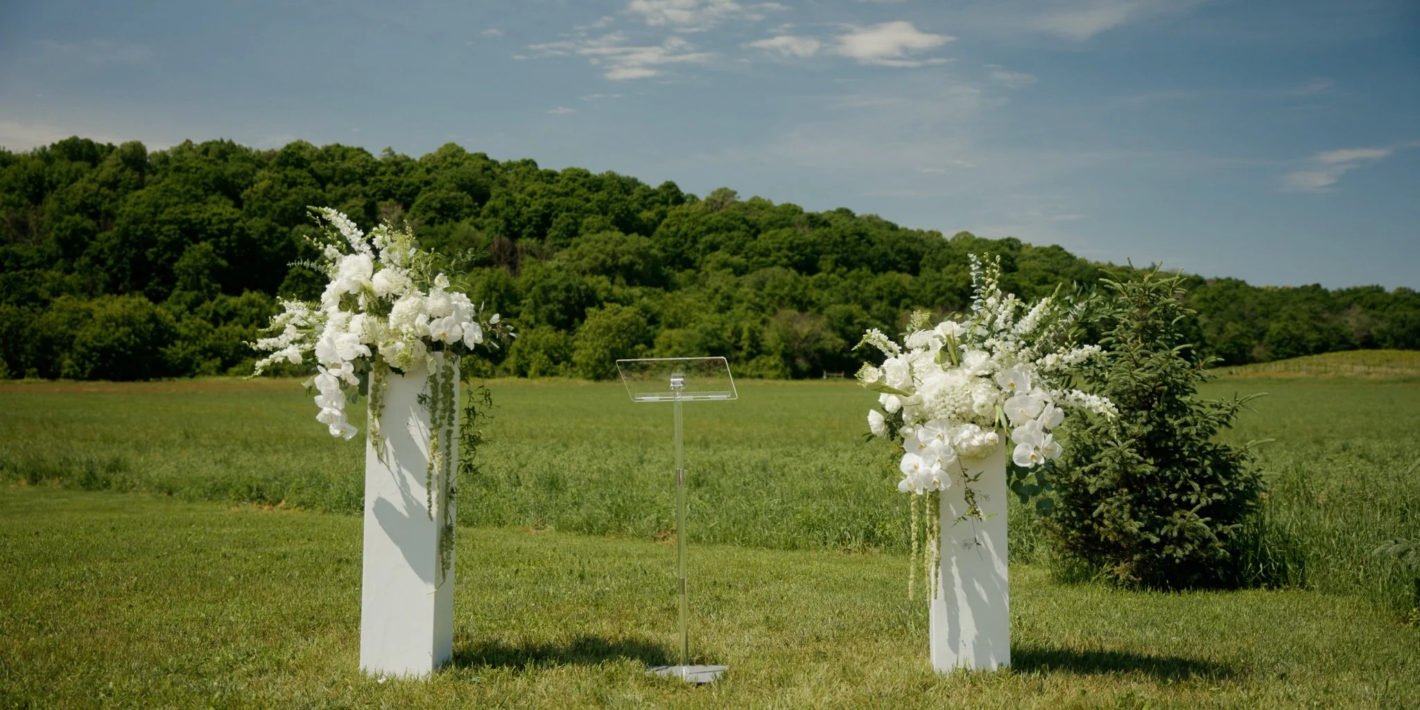 AZURE-WILLY-WEDDING-FILM-RIVER-FALLS-WISCONSIN-FORESTVILLE-VINES-14.jpg
