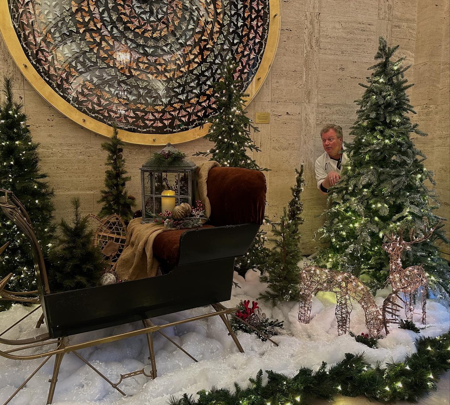 A Christmas Bob is lurking&hellip;

Here at Bacco&rsquo;s Wine &amp; Cheese, we are here for your holiday needs!!! 

Looking for a special gift? 

We&rsquo;ve got&hellip;

🧀 Cheese Explorer&rsquo;s Club 
🍷 Bacco&rsquo;s Wine Club
🍽️ Cheese &amp; C