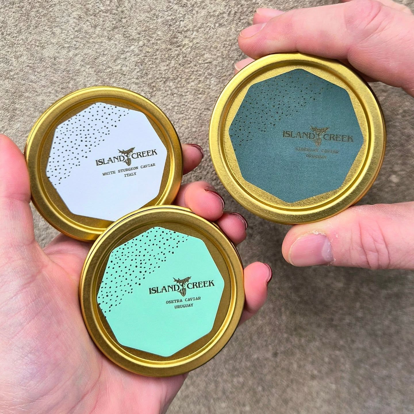 Just got a fresh shipment of beautiful caviar in from @islandcreekoysters! Feeling fancy this holiday season? Come swing by and get your fix. Don't forget the creme fraiche and blinis! ✨️

#shoplocal #caviar #bostonfoodies #boston #baccogram