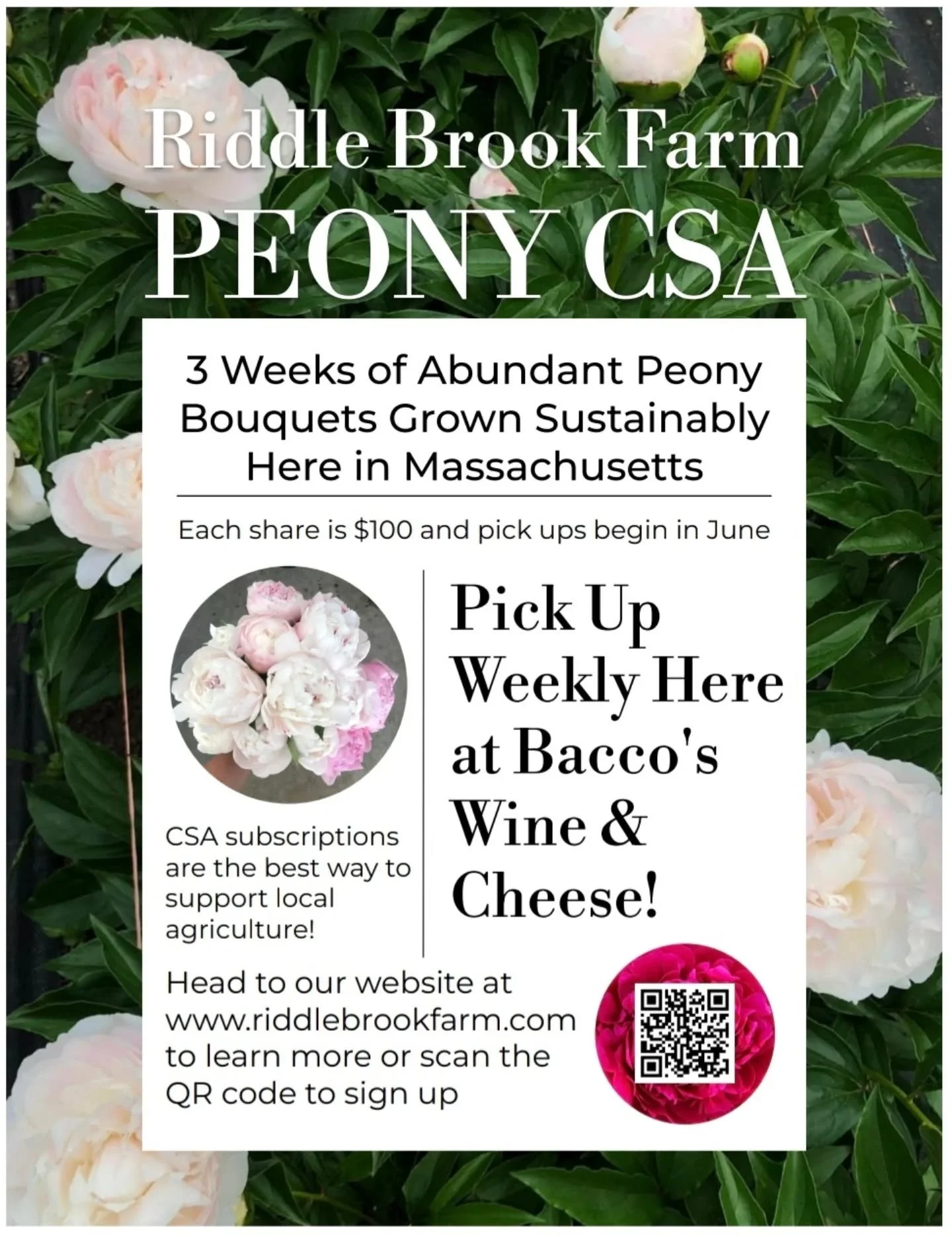 We are a pickup location for @riddlebrookfarm's peony CSA! Want some beautiful locally grown peonies this June? Sign up on their website! ✨️