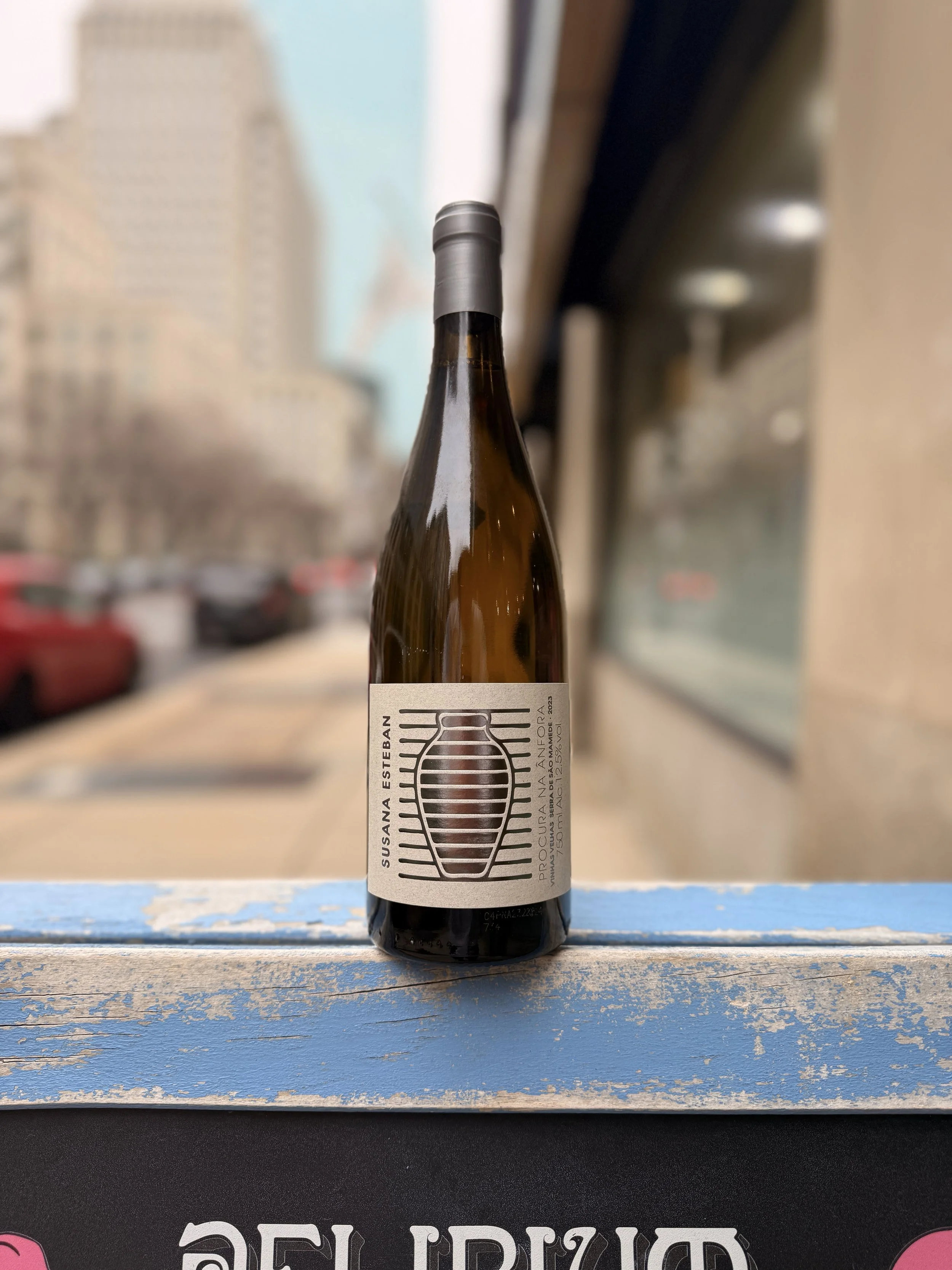 Susana Esteban Procura Anfora