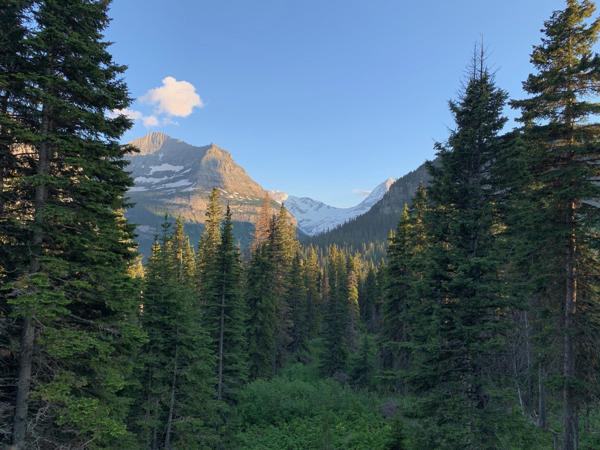 Jackson Glacier seen from Going to the Sun Road in Glacier National Park