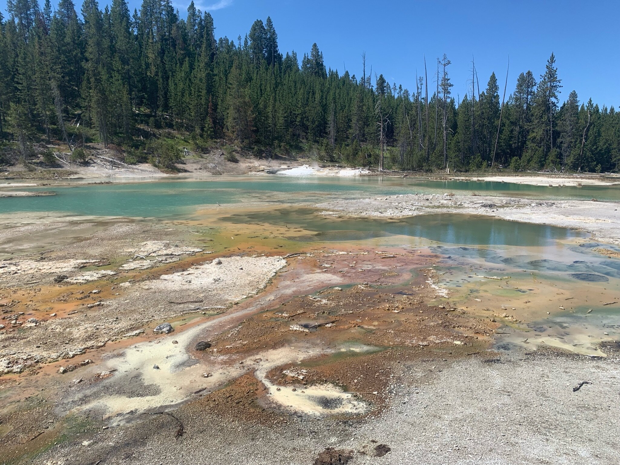 The Norris Geyser Basin at Yellowstone National Park