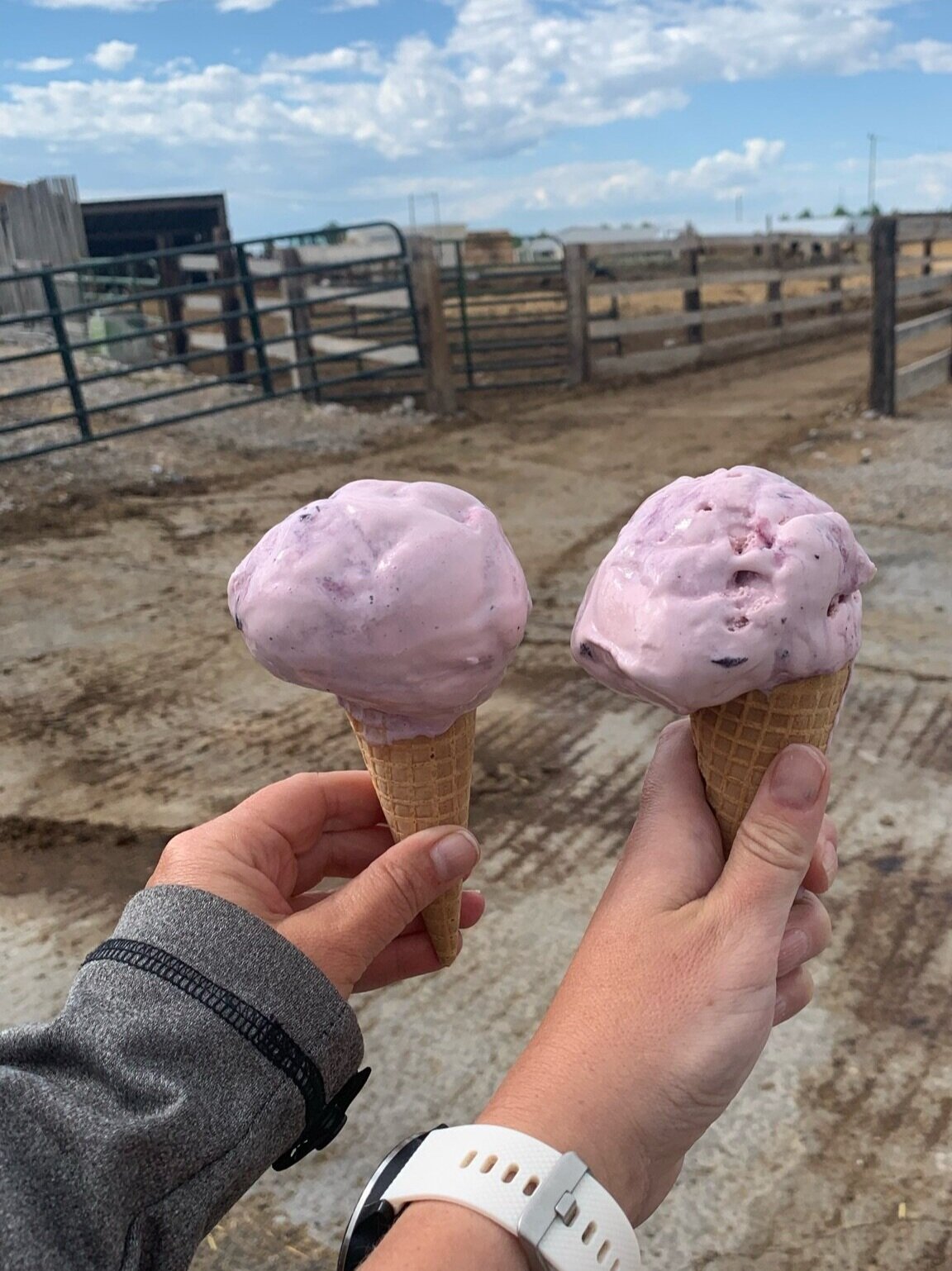 Huckleberry ice cream at Reed’s Dairy in Idaho Falls