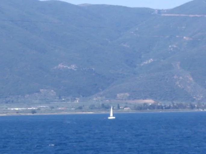 06740065.jpg
