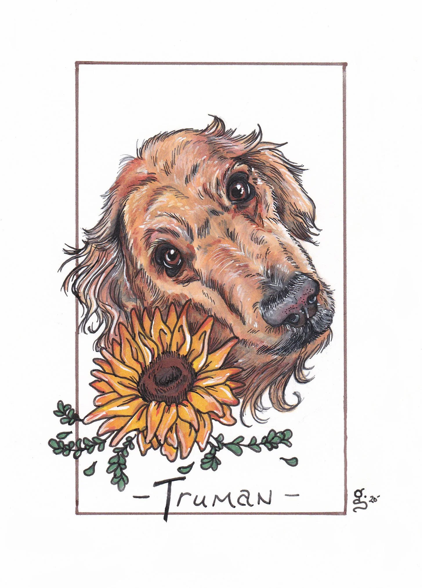 Pet-Portrait_Harold.jpg