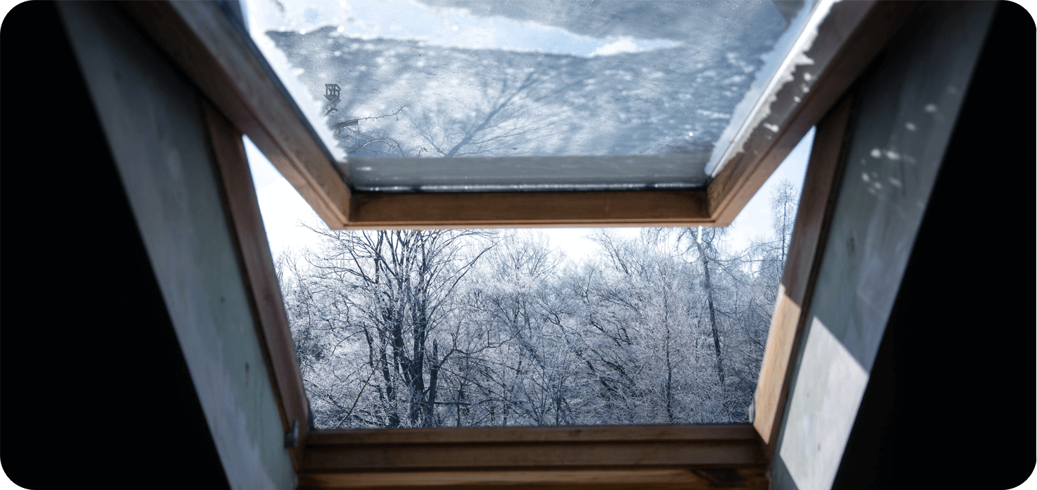 Spring Forward, Feel Better: A Simple Wellness Routine for the Shift from Winter to Spring