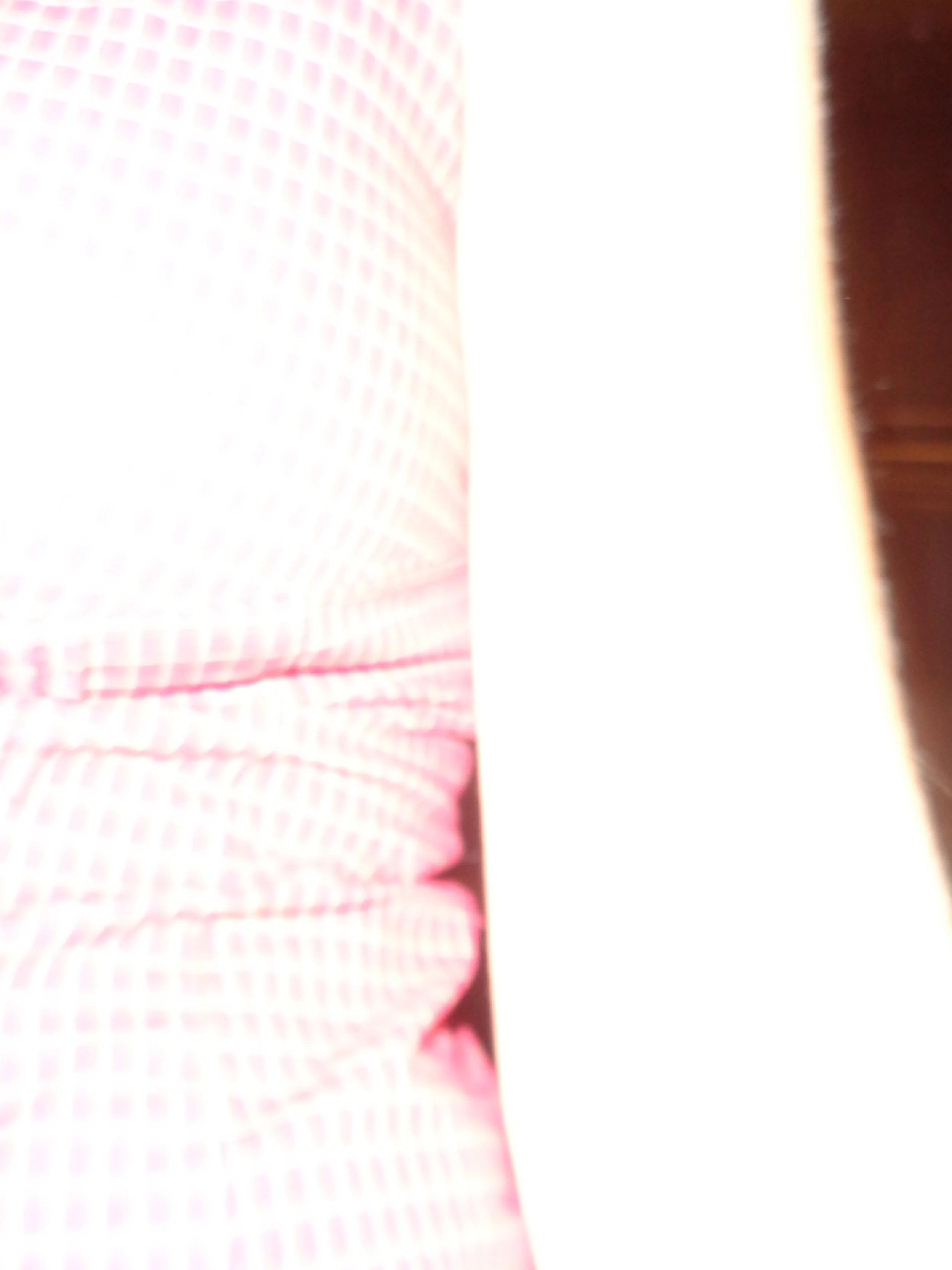 Copy of DSC01467.JPG