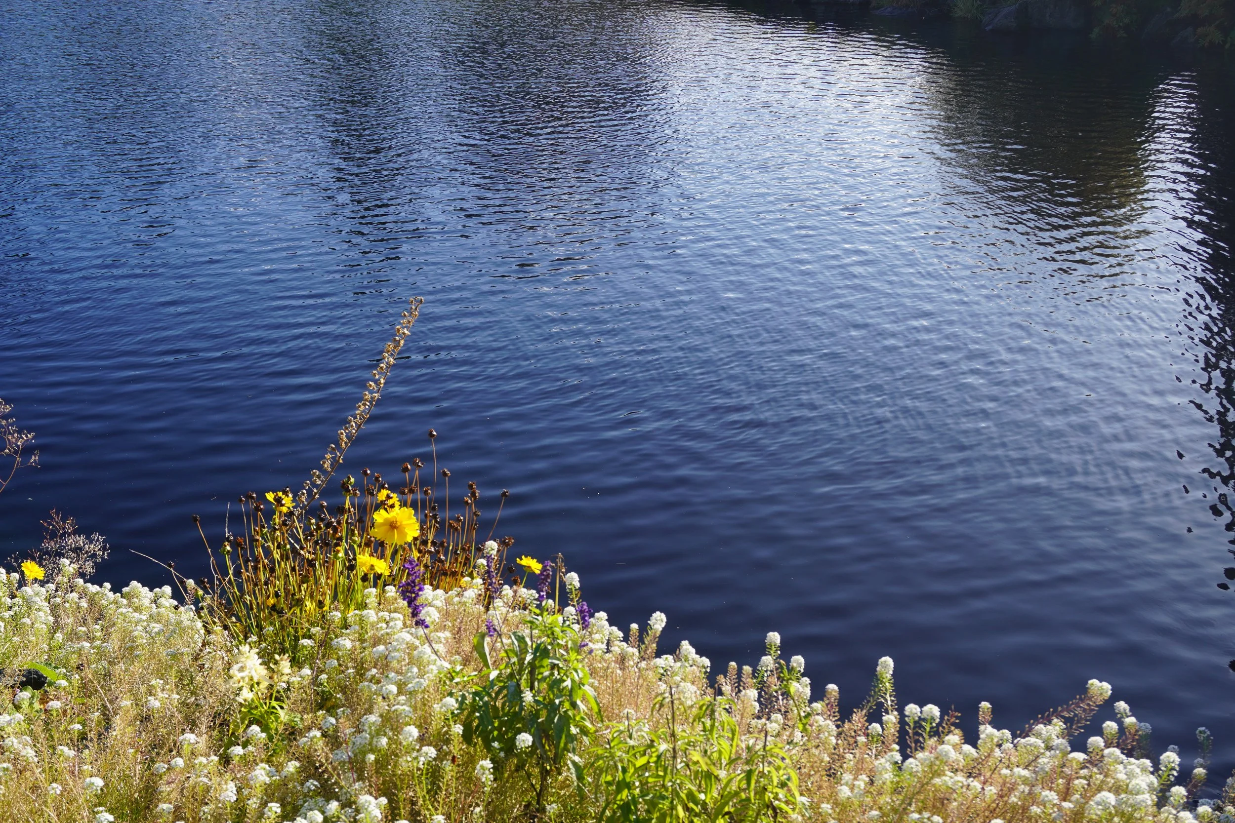DSC00873.JPG