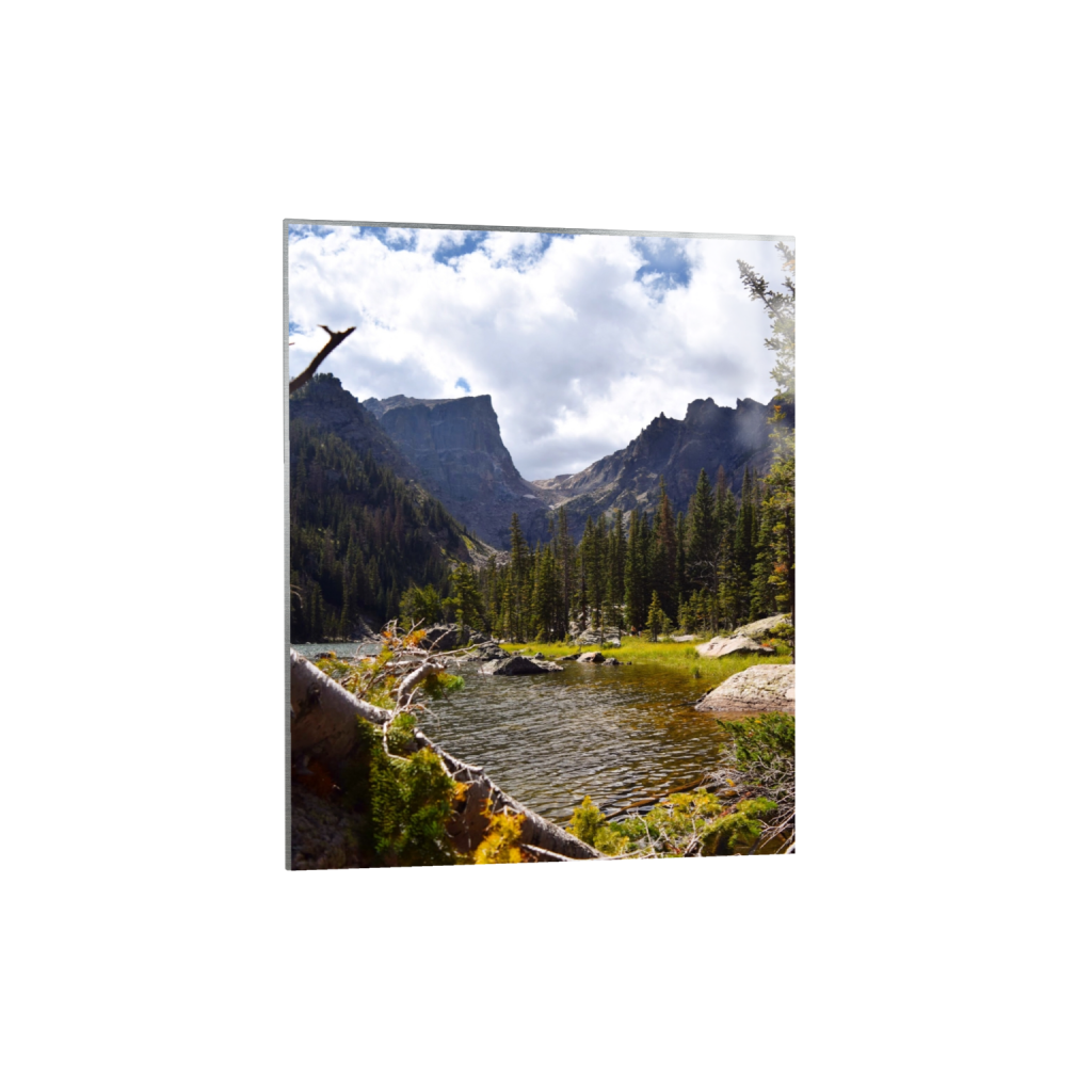 metalprint_rectangle4_5_0_0_1472_1840_0_false_ffffff_0_0.png