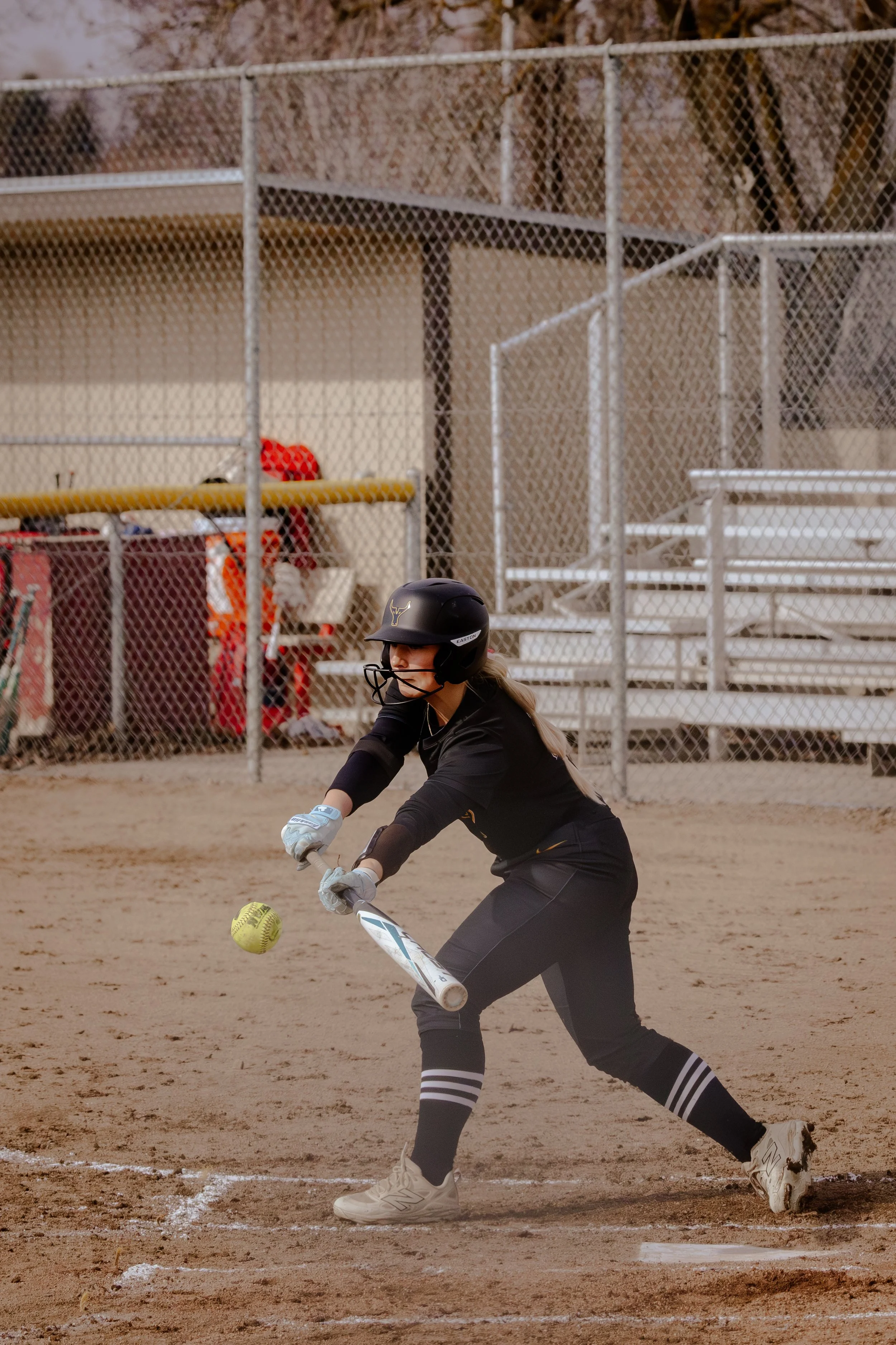 -February 20, 2026IMG_6576.jpg