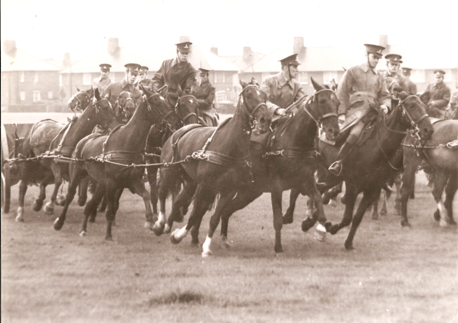 Wurmwood Scrubs practice.jpg