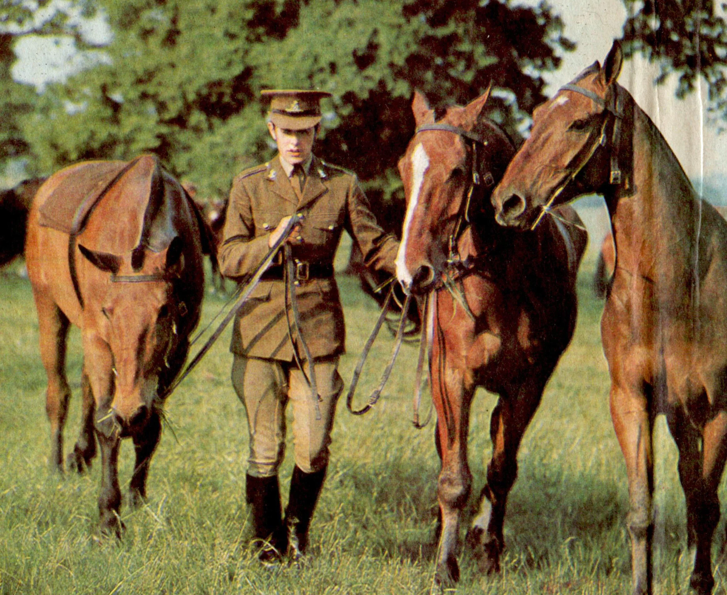 taken in windsor 1971.jpg