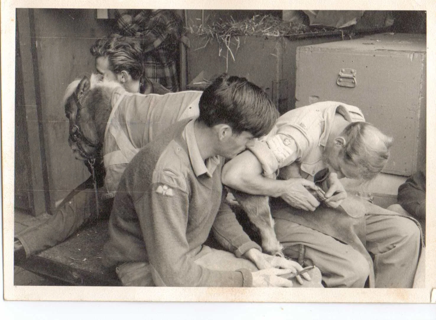 1967.jpg