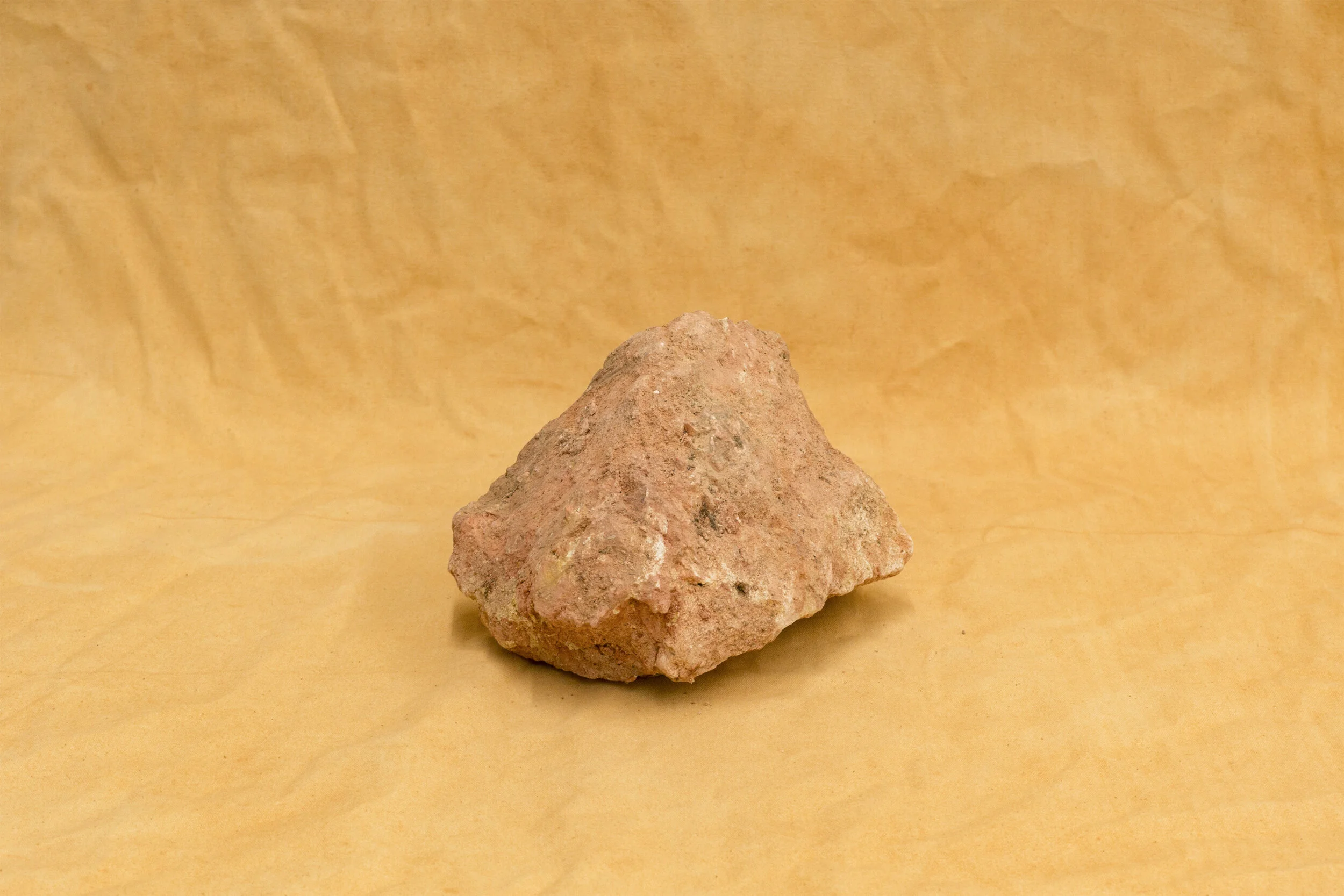 Reunion (2021) detail