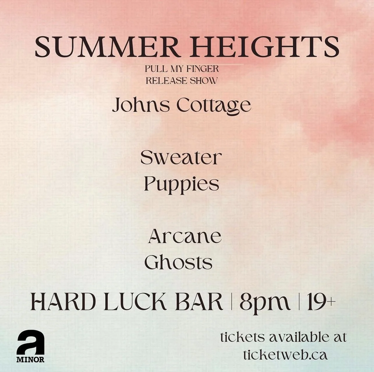 Poster for summer heights upcoming show in toronto on november 11st at the Hard Luck Bar