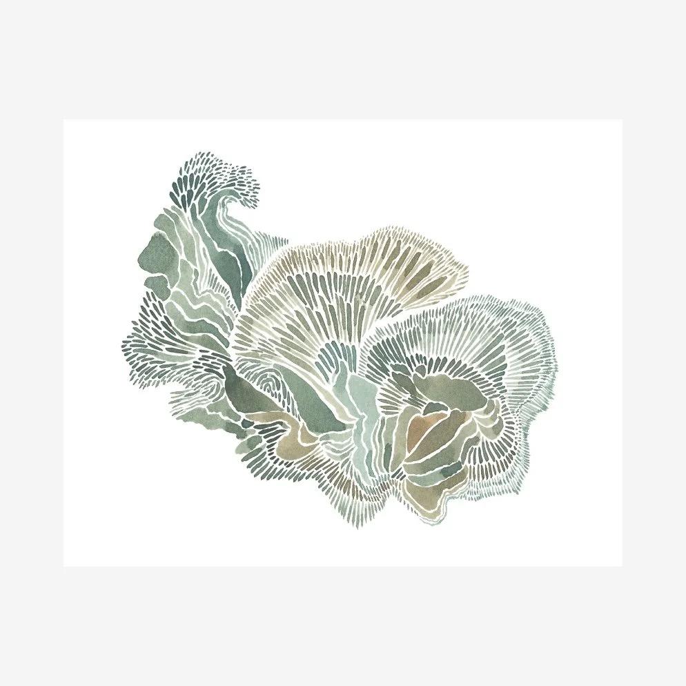 Untitled No. 14