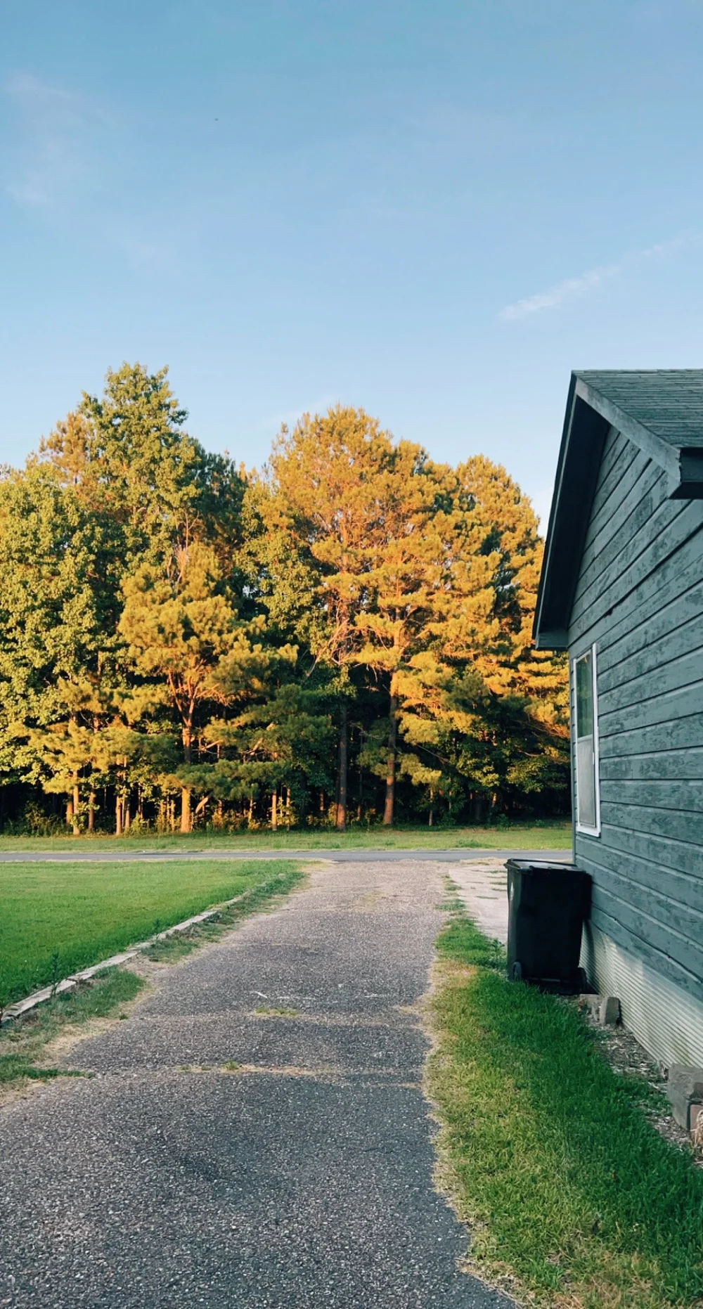 our Springhill house