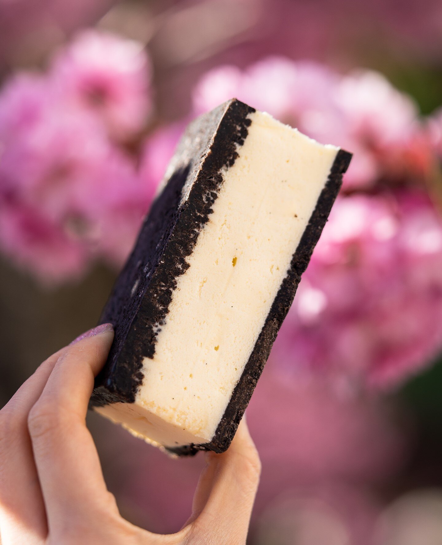 WE HAVE A NEW PLANT-BASED ICE CREAM FLAVOUR AT THE PARLOUR! INTRODUCING VEGAN VANILLA OAT MILK ICE CREAM SAMMIES!⁠
___⁠
STAY TUNED FOR MORE PLANT-BASED OPTIONS TO COME!⁠
⁠
#vancouver #foodbeast #vancouverfoodie #yvreats #dishedvan #f52grams #buzzfeed