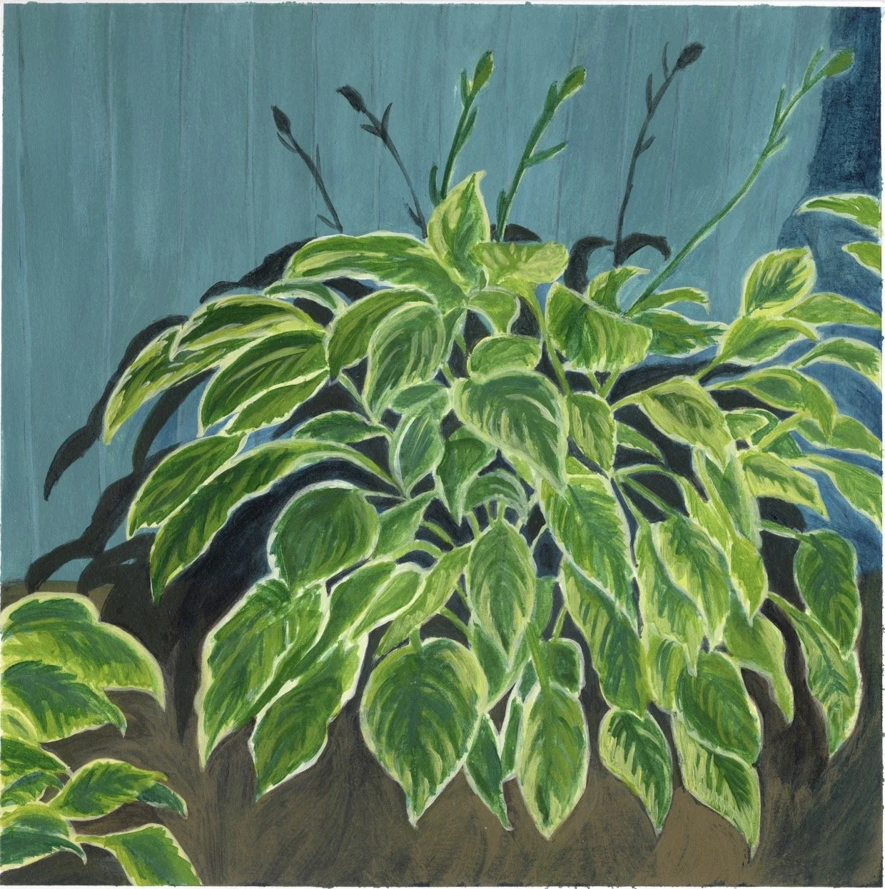 Hostas, Acrylic on Paper, 8" x 8"