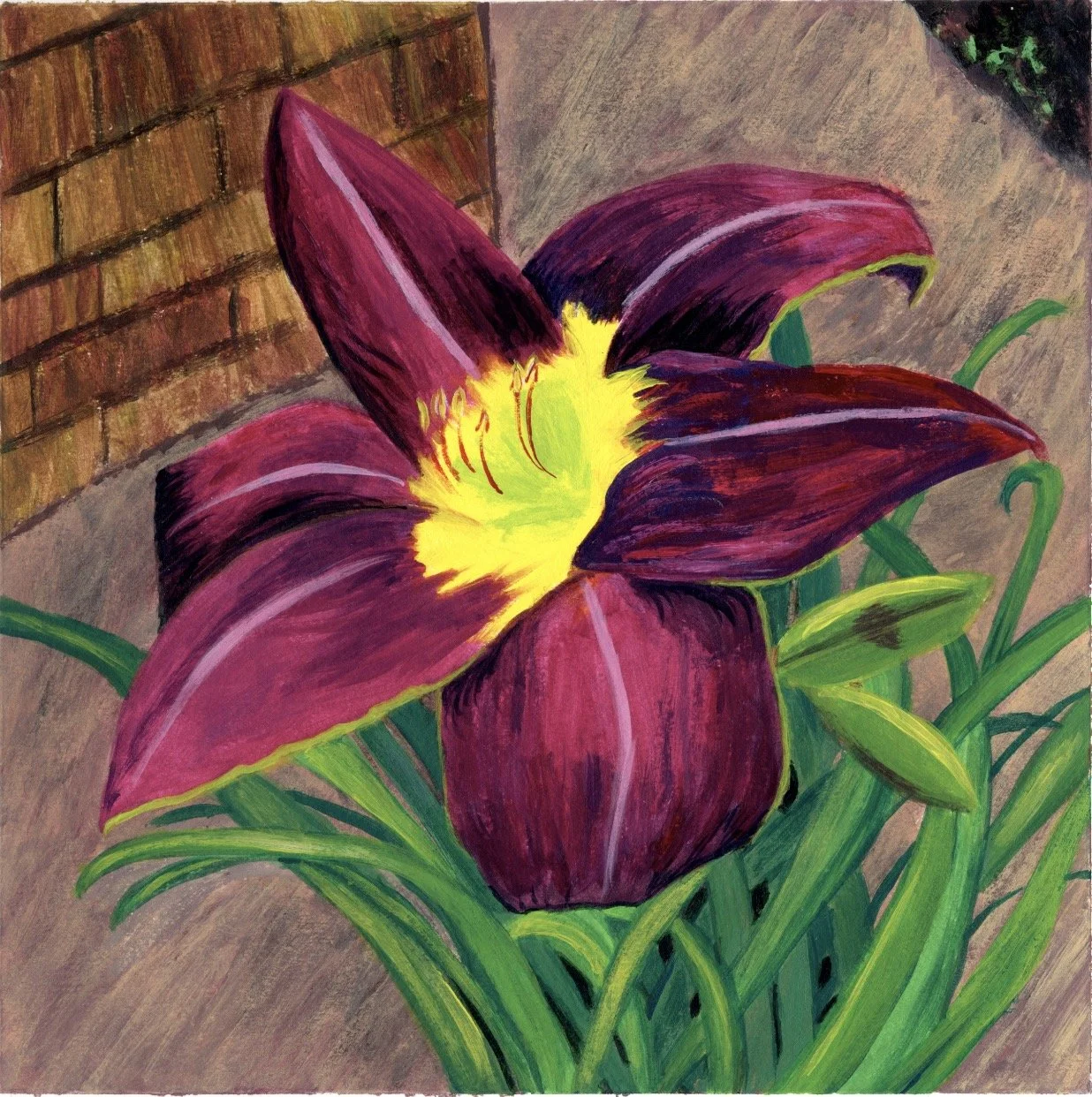 Hidden Daylily, Acrylic on Paper, 8" x 8"