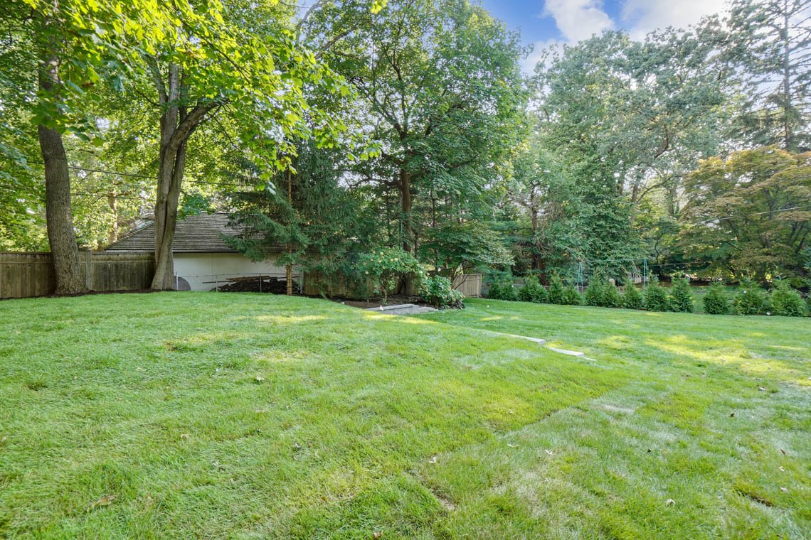 Whittredge backyard.jpg