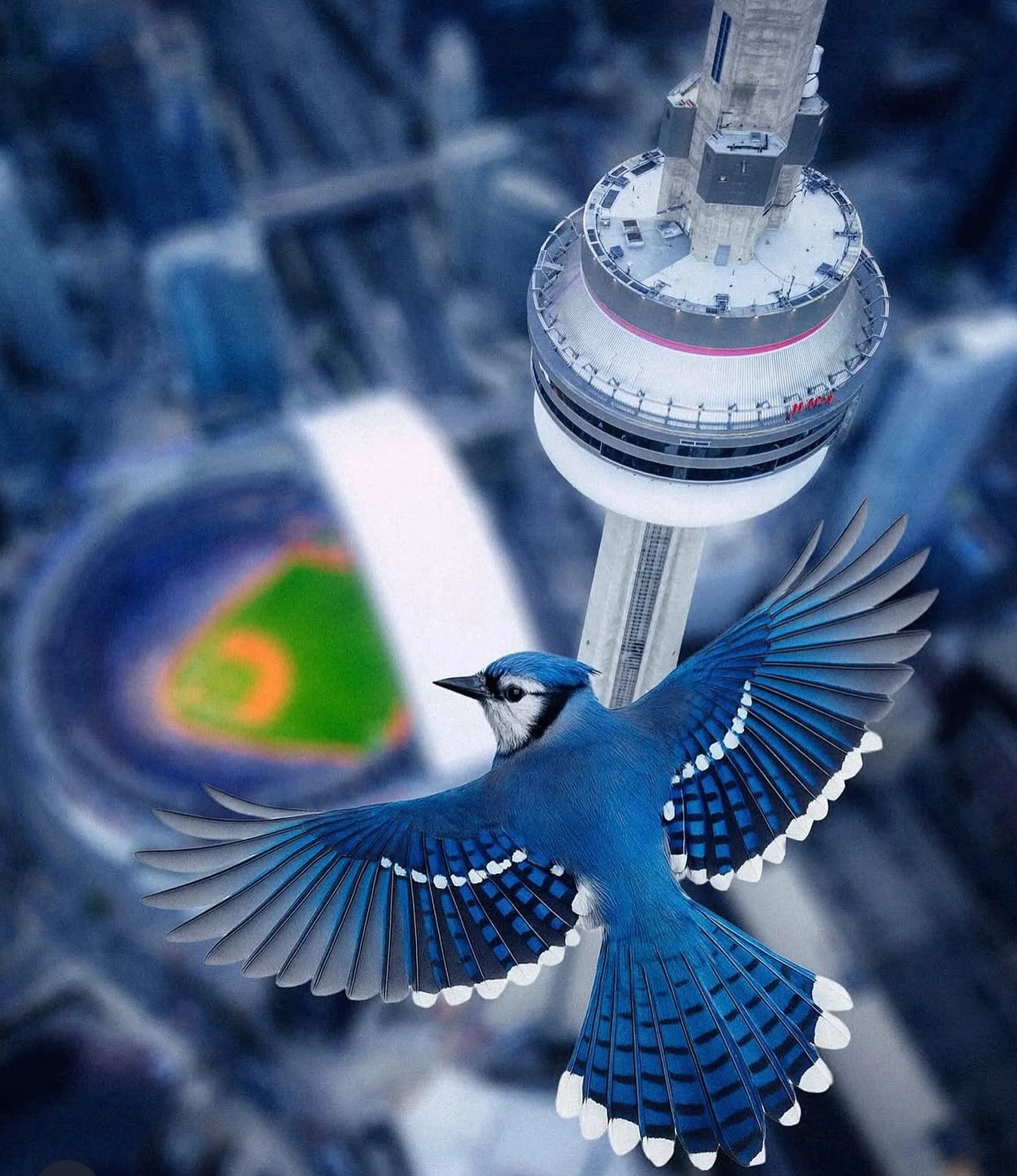 A bird&rsquo;s eye view of what it means to be Self-Driven vs Purpose-Driven through the 9th inning of the World Series.

- Top of the 9th vs Bottom of the 9th 
- United States vs Canada 
 - Los Angeles Dodgers vs Toronto Blue Jays 
- Managing indivi