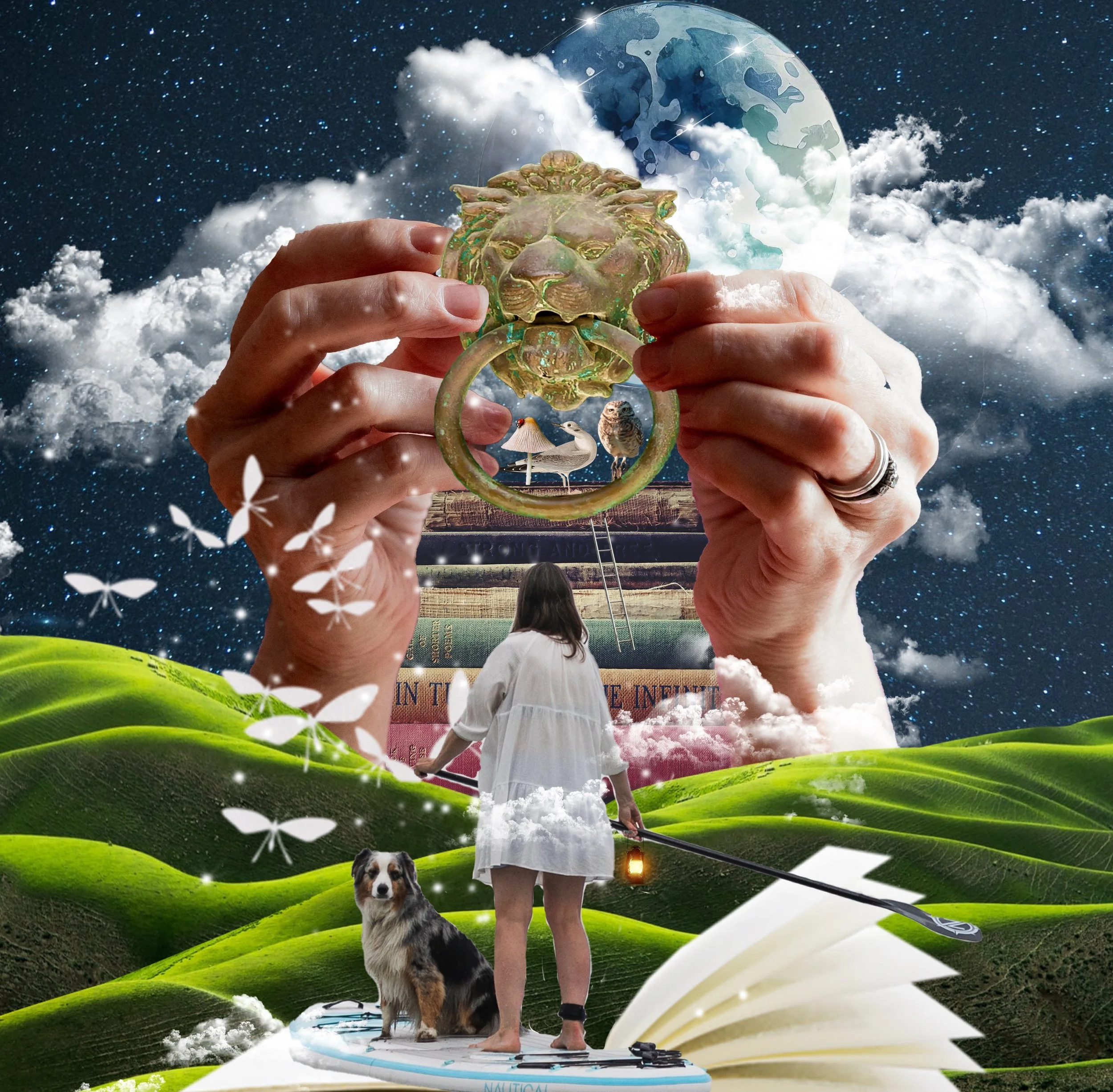 Knocking On Midlife's Door_no bird.jpg