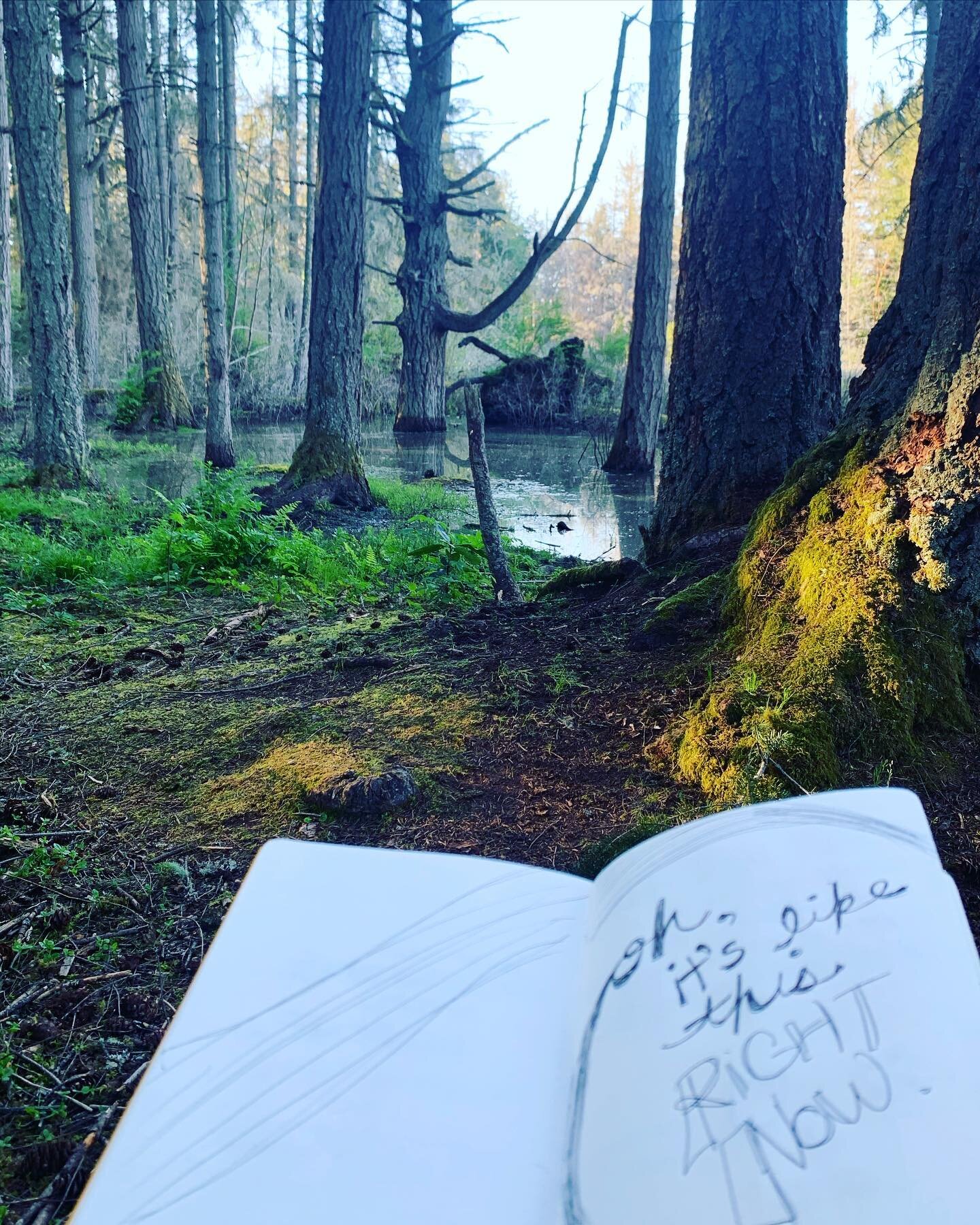 Studied my mindfulness meditation teacher training materials in the woods today to practice walking, standing, sitting and moving with awareness of breath. I haven&rsquo;t quite unlocked how this impacts my vision, but I know that when I&rsquo;m medi