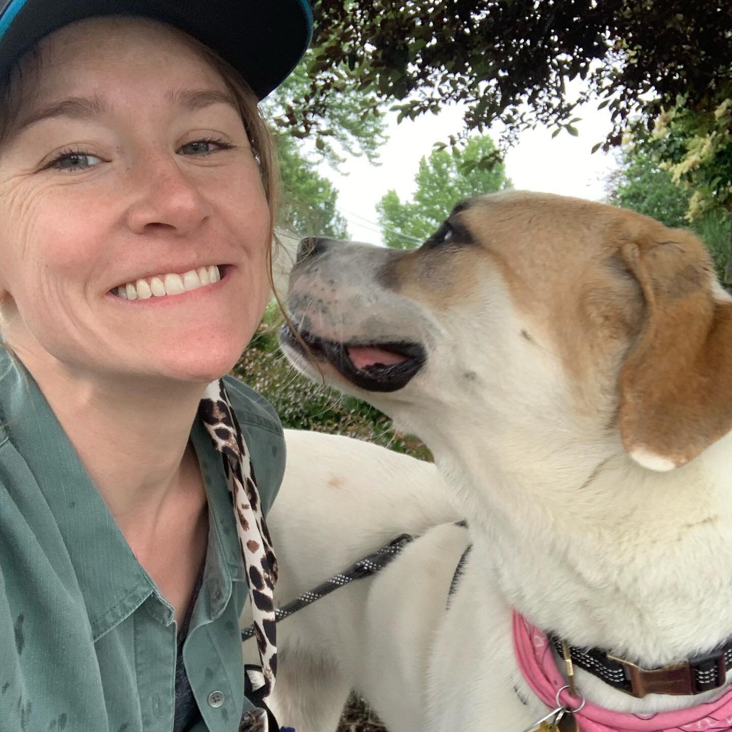 Puppy kisses. To someone with OCD, a puppy kiss can trigger a wave of intense discomfort as fear dominates the brain. This week, I accepted many puppy kisses. Willingly. And my goooooooodness. I&rsquo;m so thankful for my #meditation practice. 

#ocd