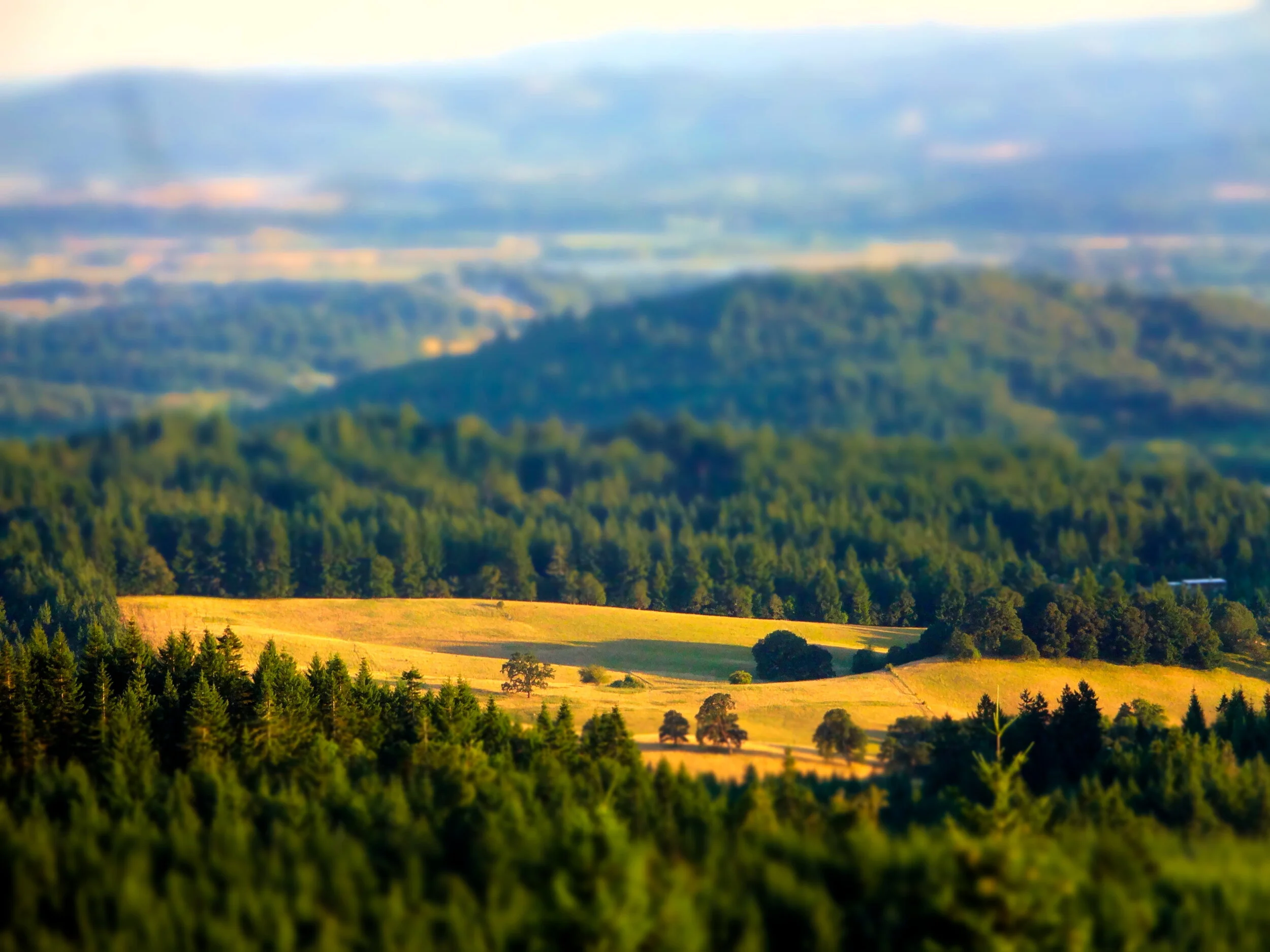 Corvallis Tilt Shift 2.jpg