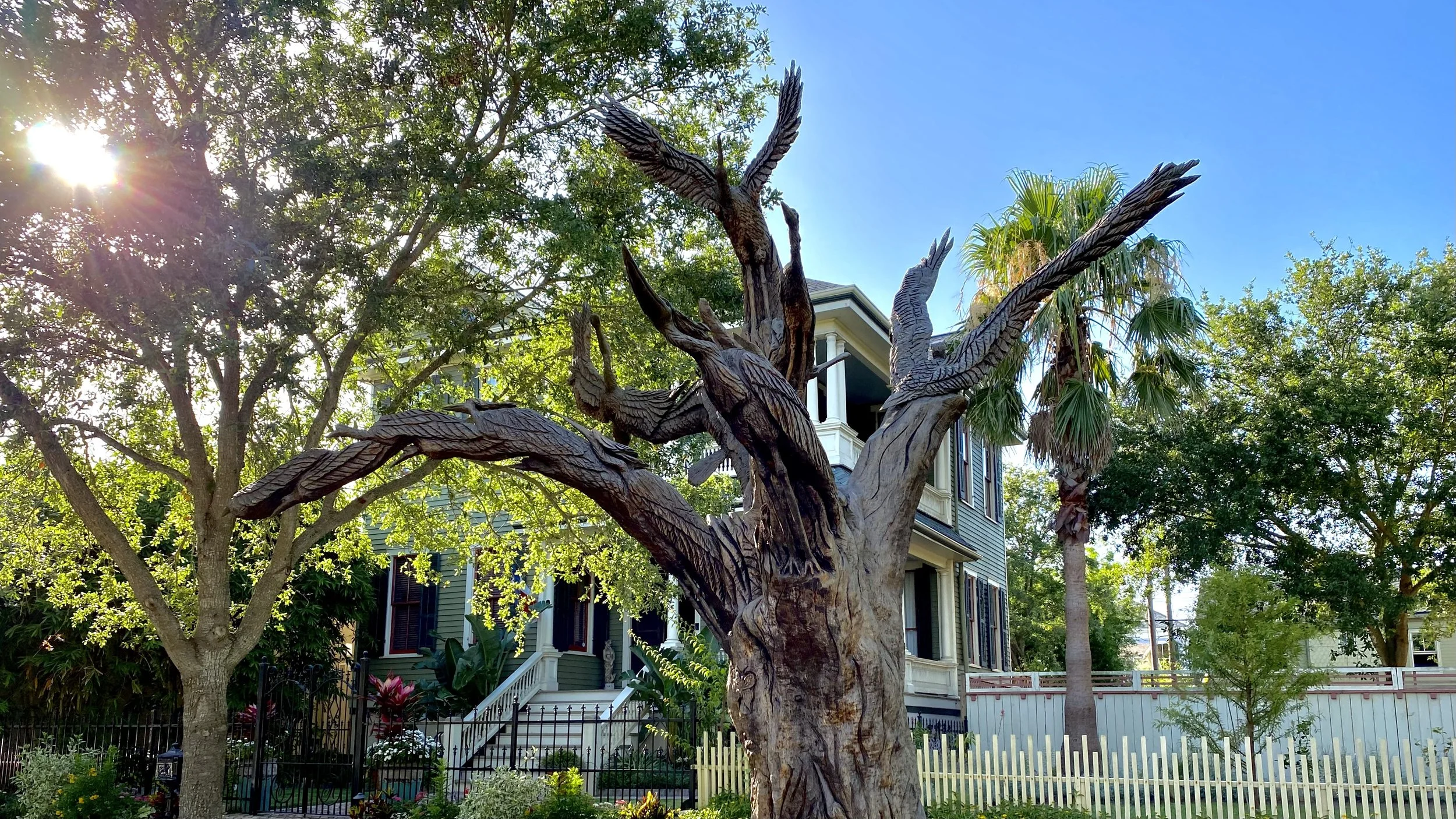 Unscripted History of Tree Sculptures Galveston
