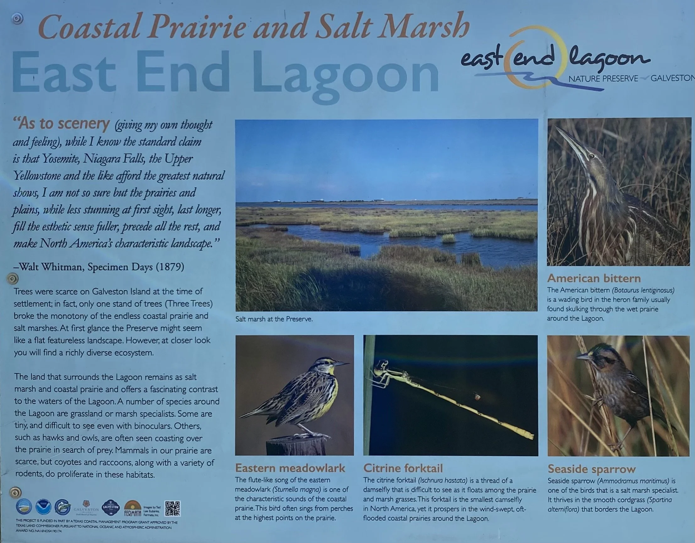 Coastal Prairie and Salt Mash at the East End Lagoon